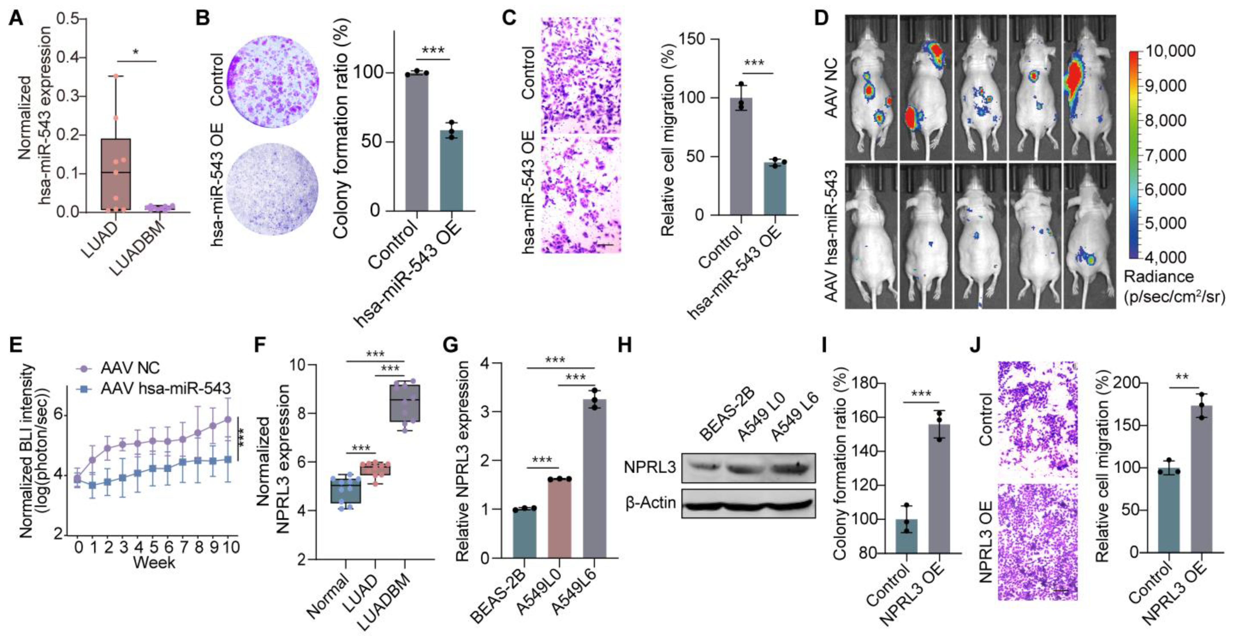 Cancers 17 00559 g002