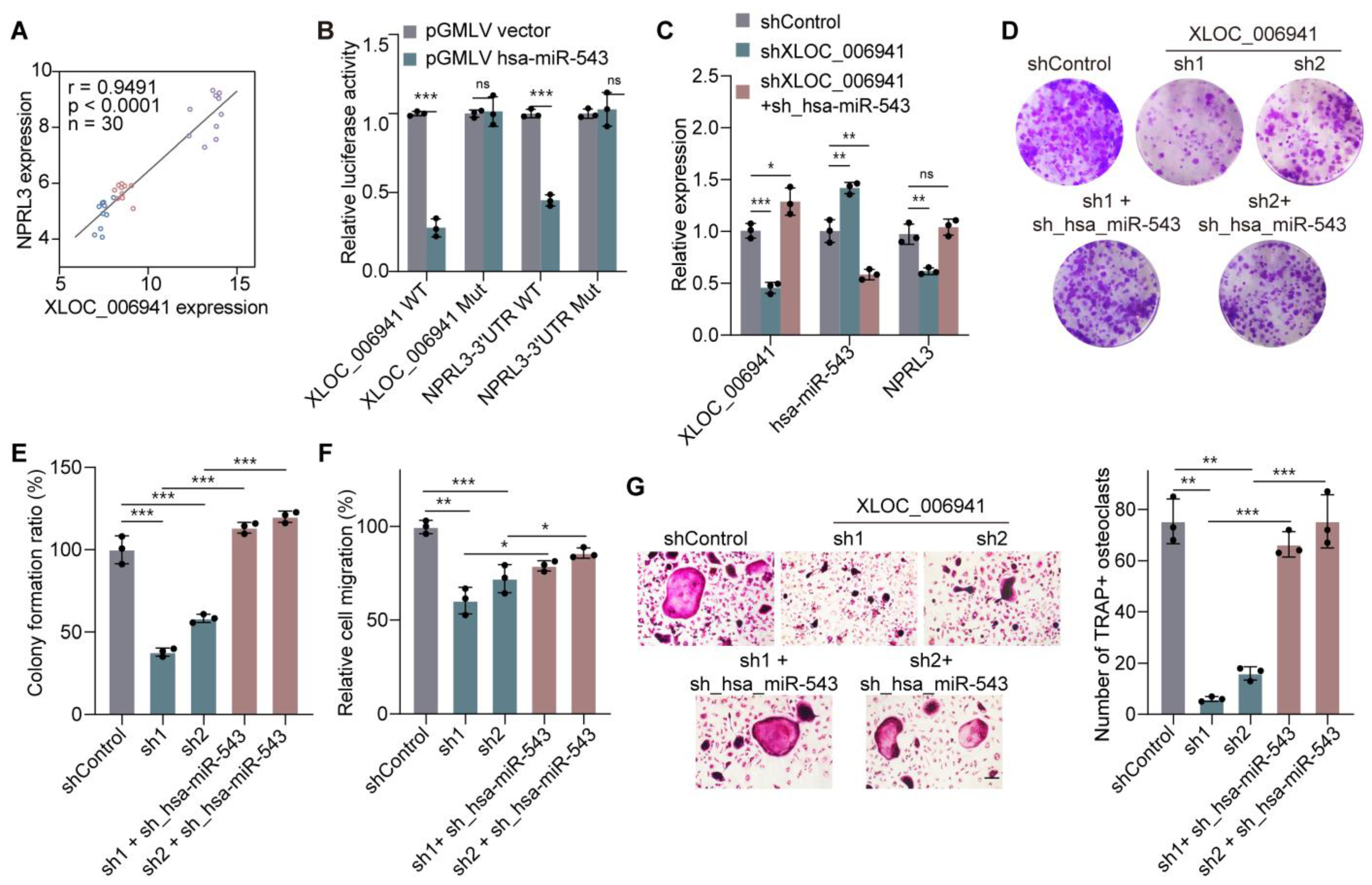 Cancers 17 00559 g003
