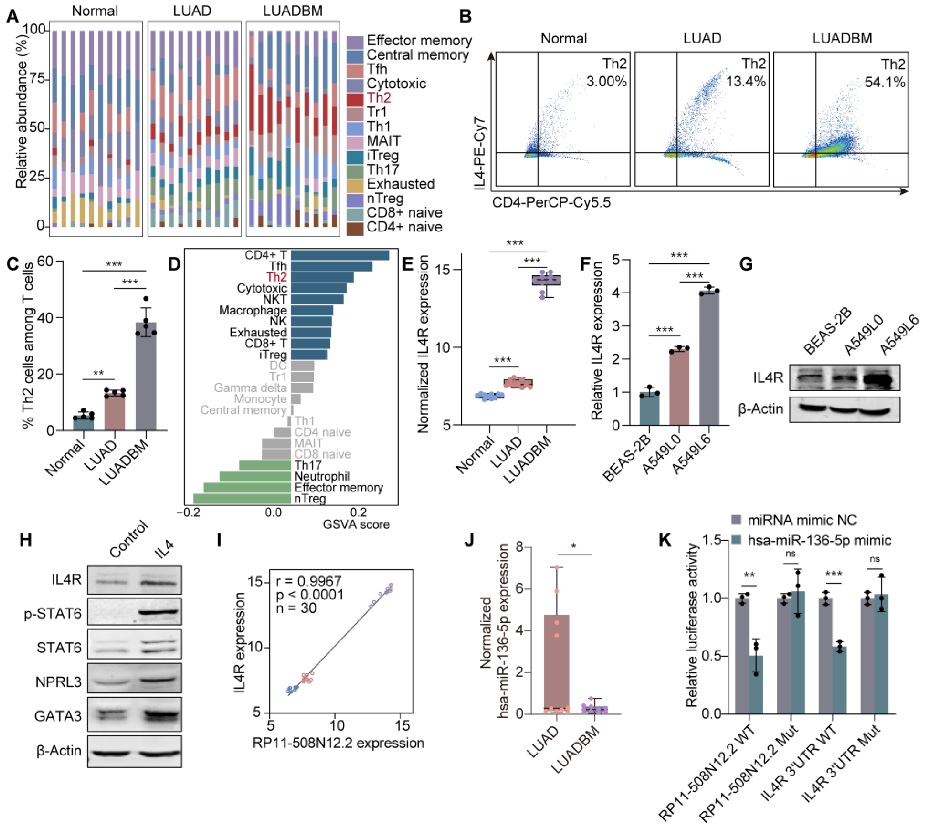 Cancers 17 00559 g005
