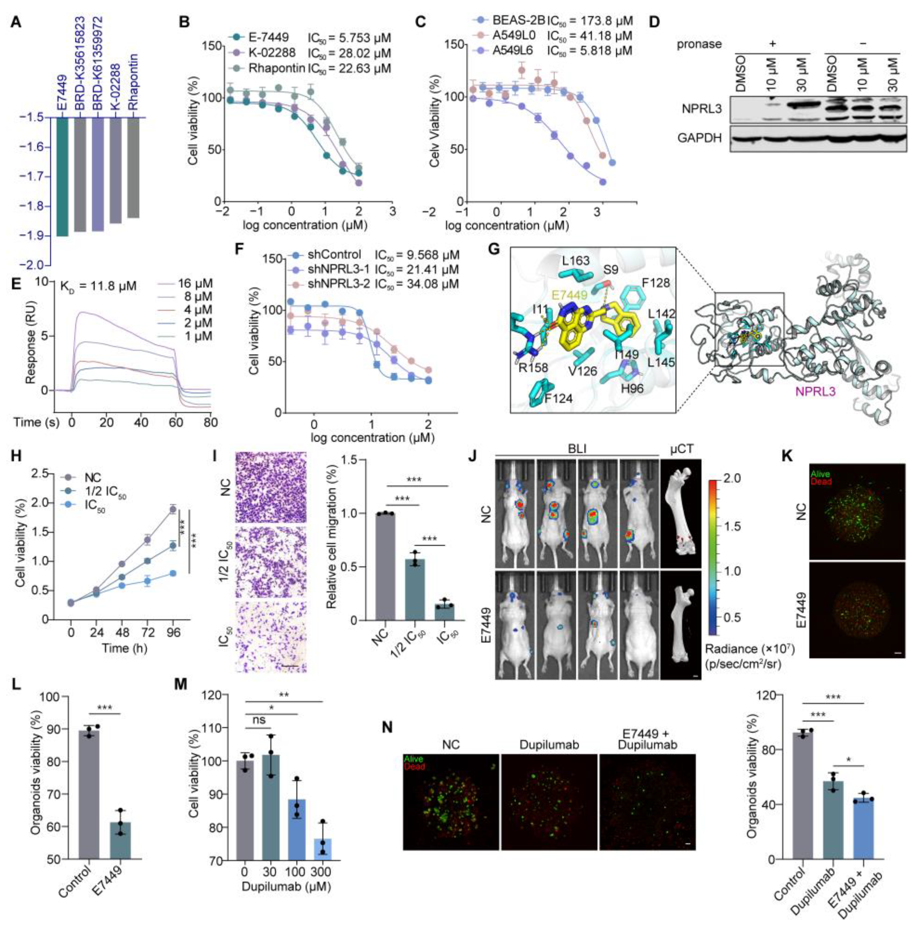 Cancers 17 00559 g006