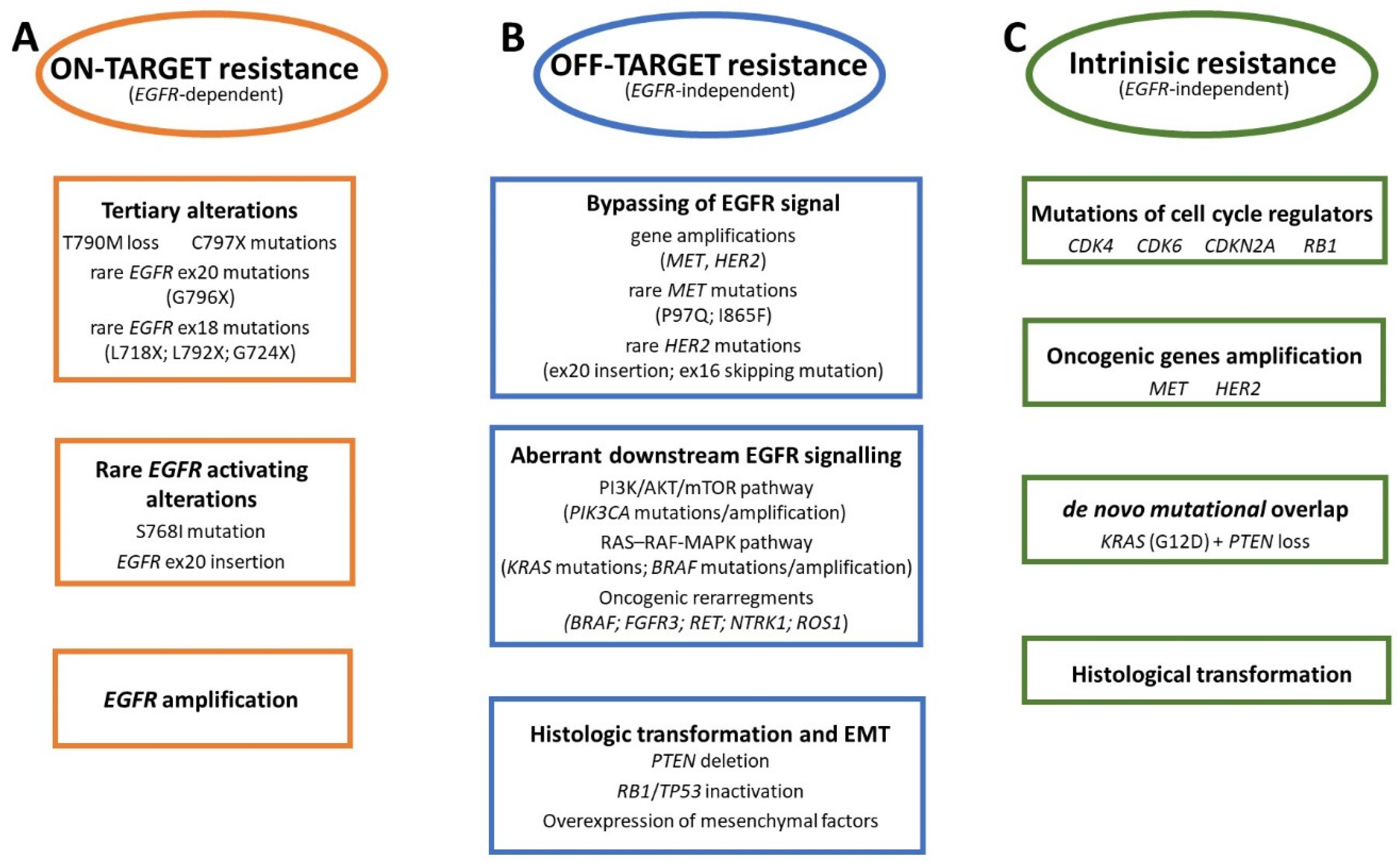 Cancers 17 00563 g001