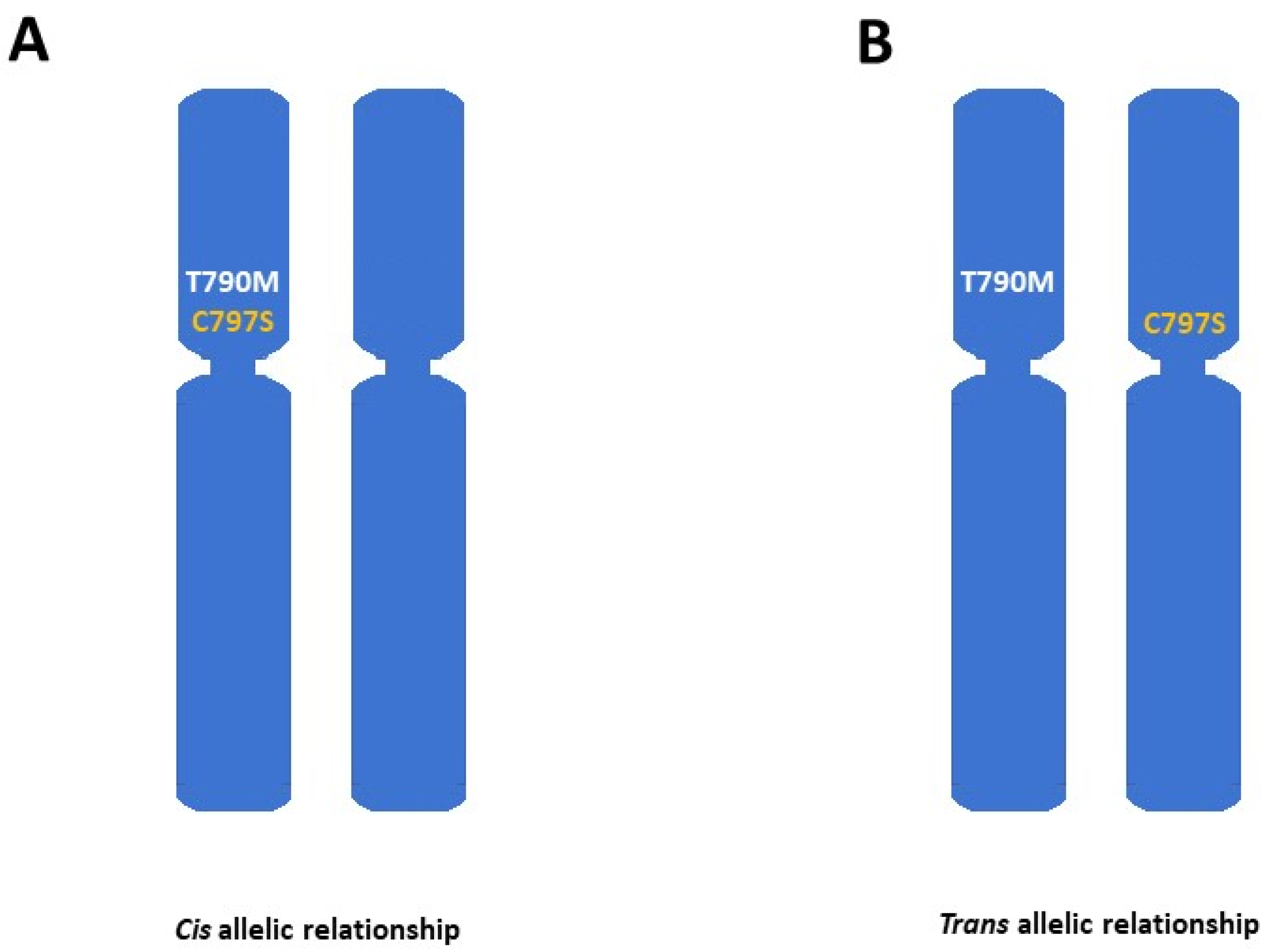 Cancers 17 00563 g002