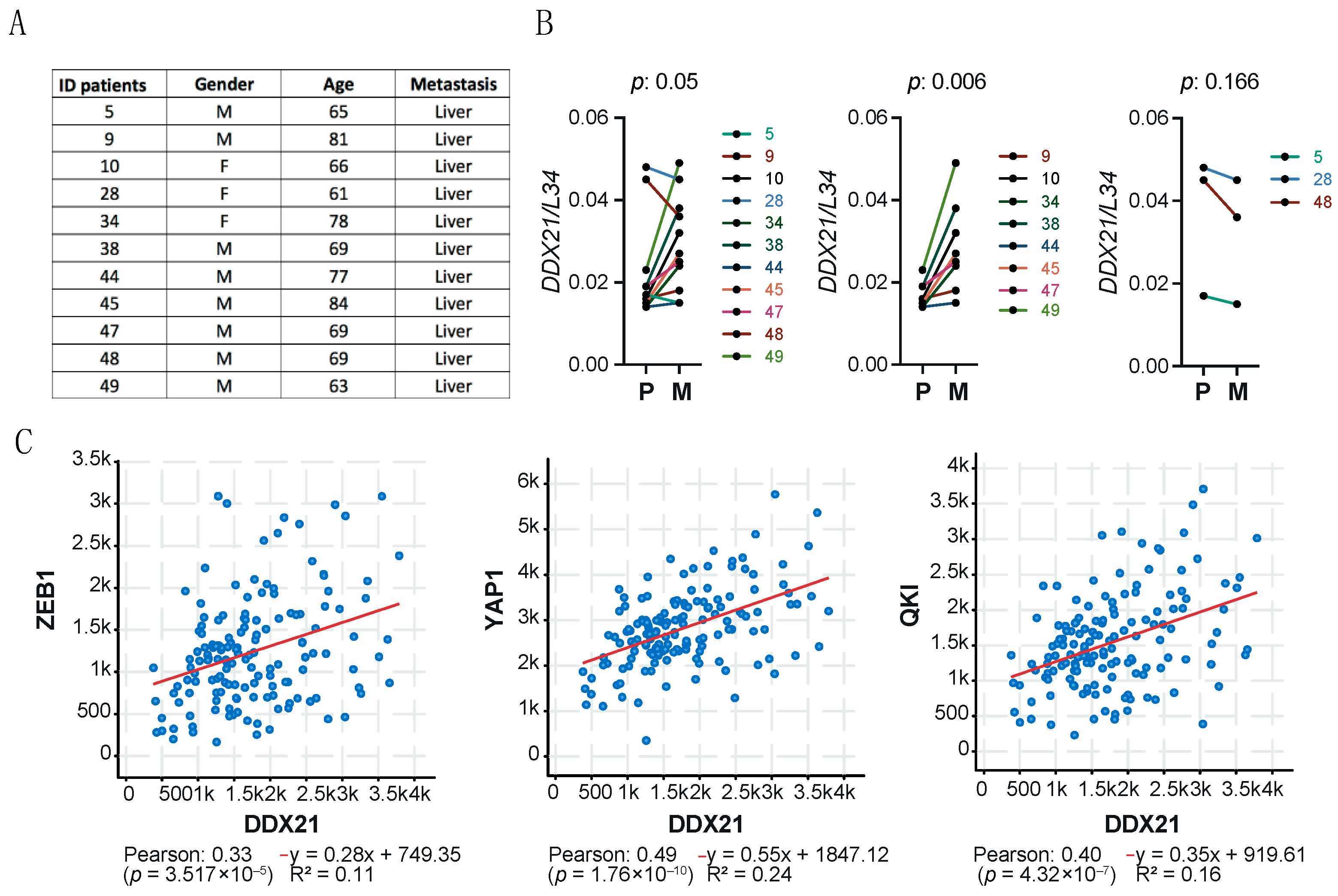 Cancers 17 00570 g002
