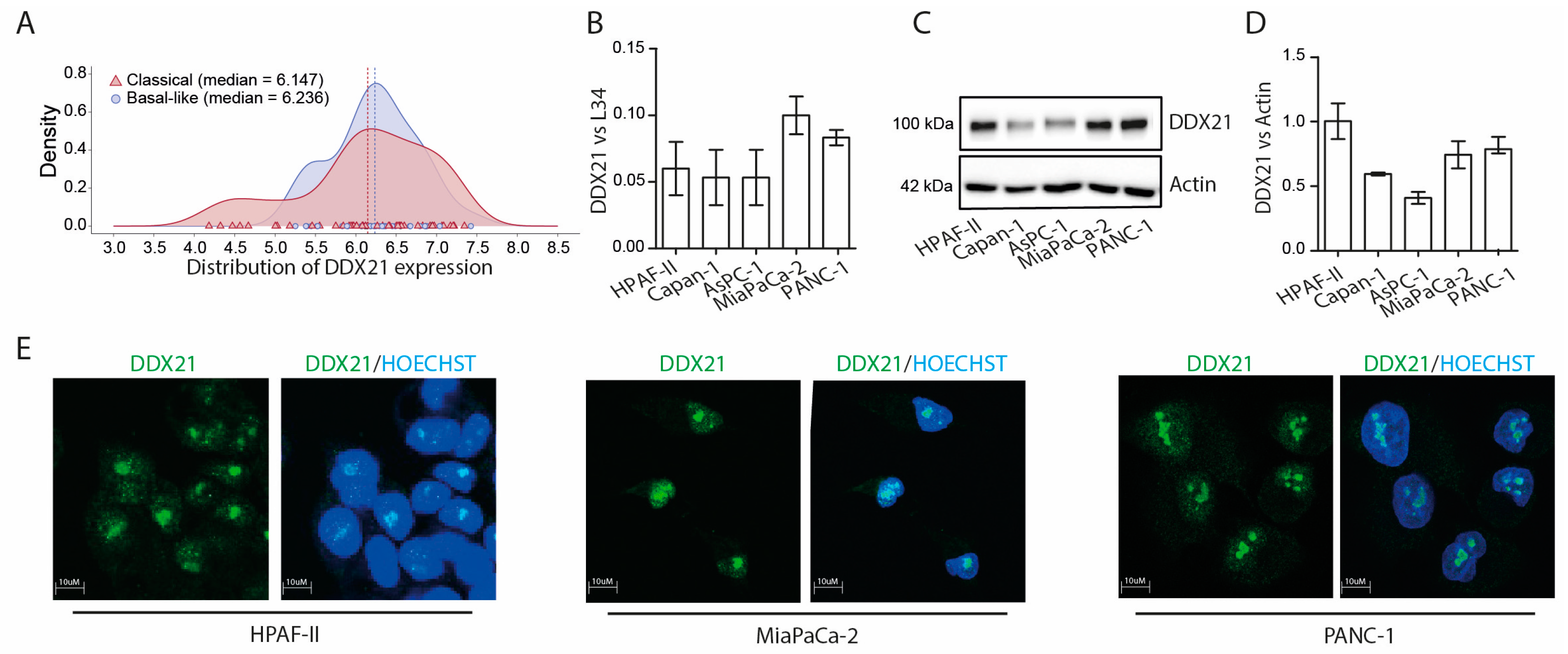Cancers 17 00570 g003