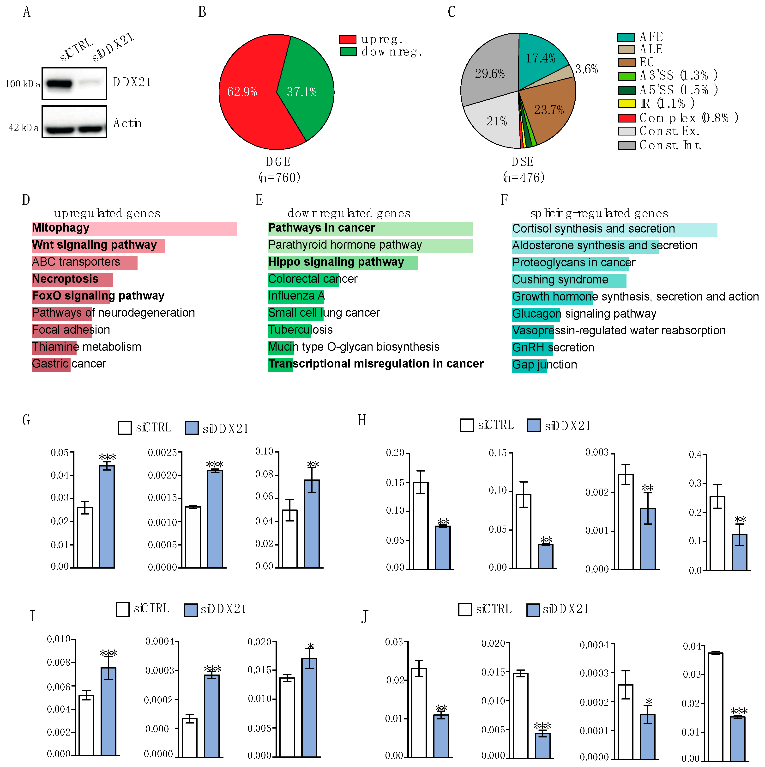 Cancers 17 00570 g004