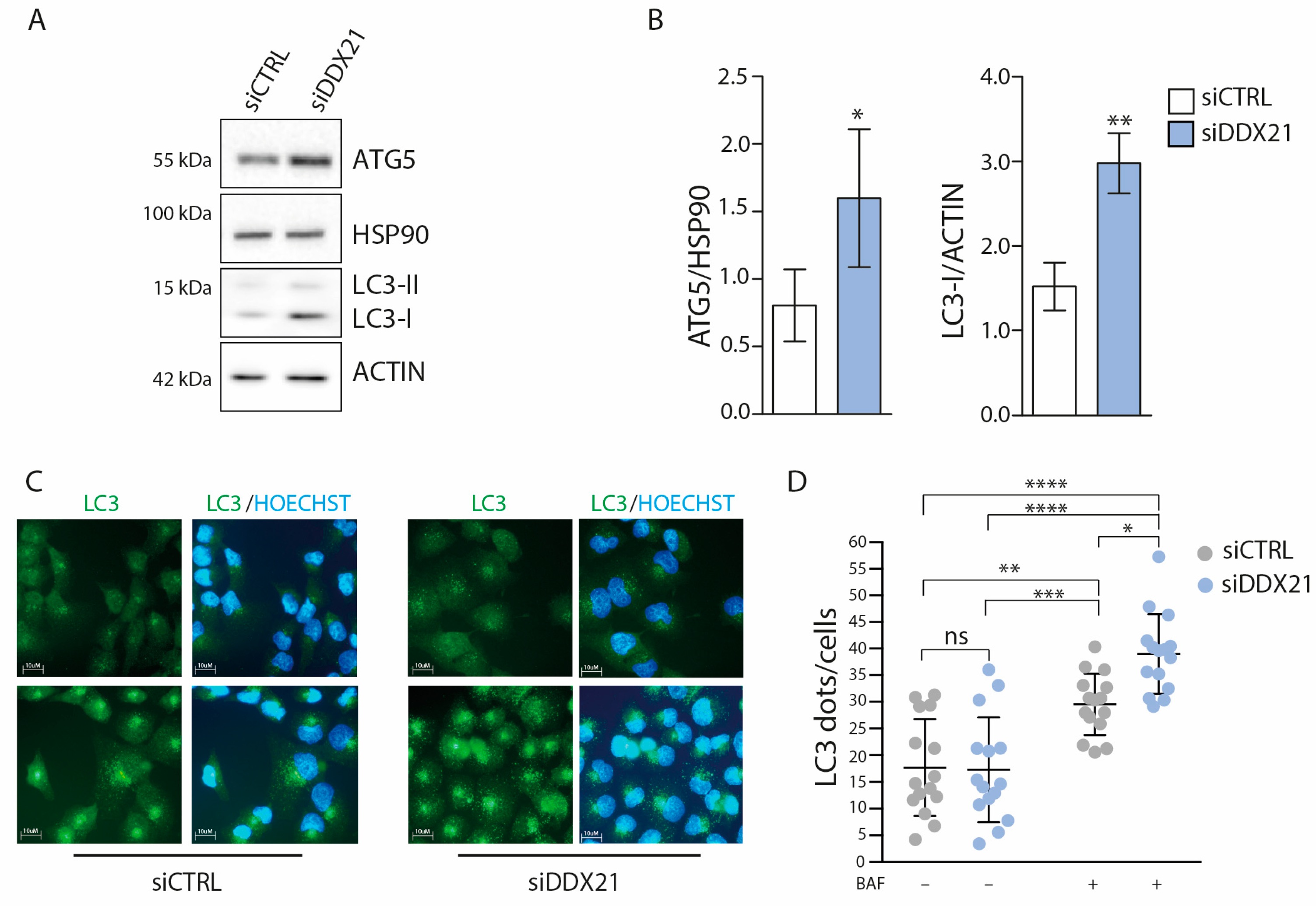 Cancers 17 00570 g005