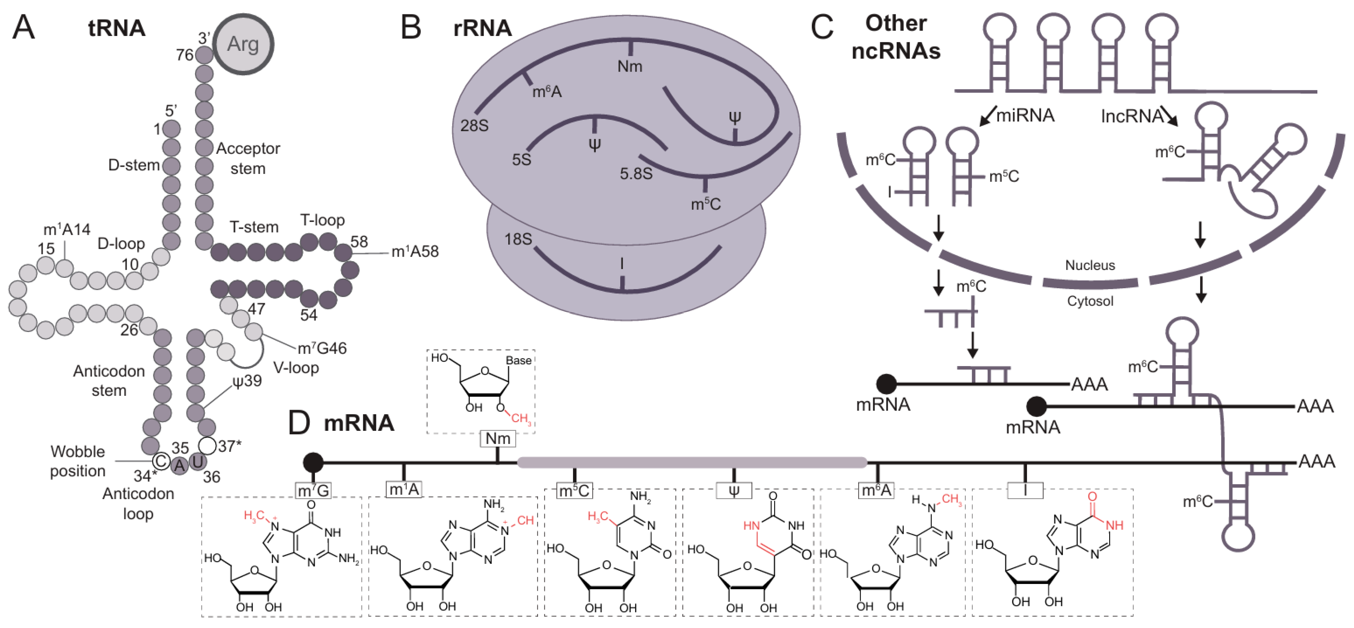 Cancers 17 00578 g001