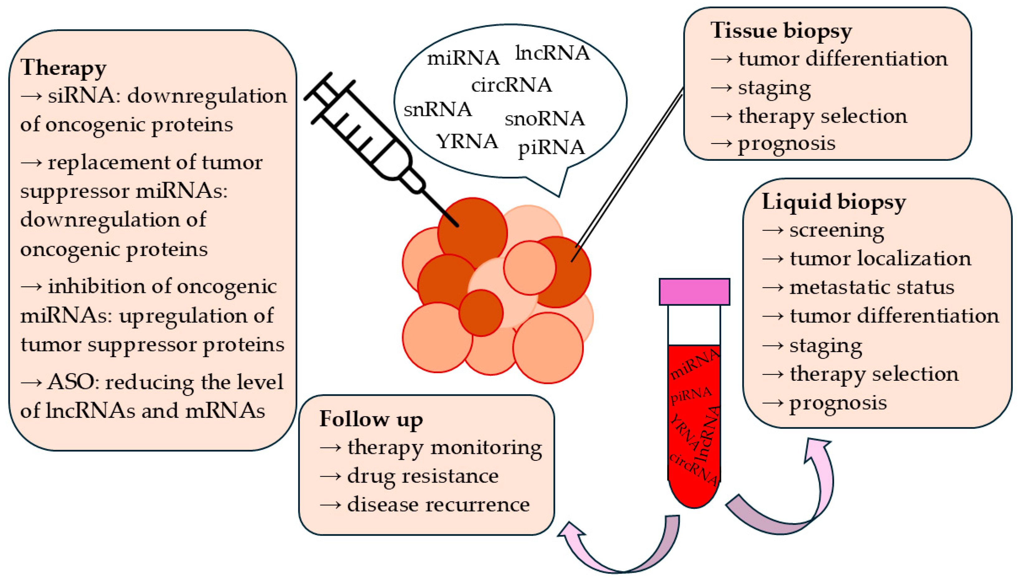 Cancers 17 00579 g003 Cancers 17 00579 g003