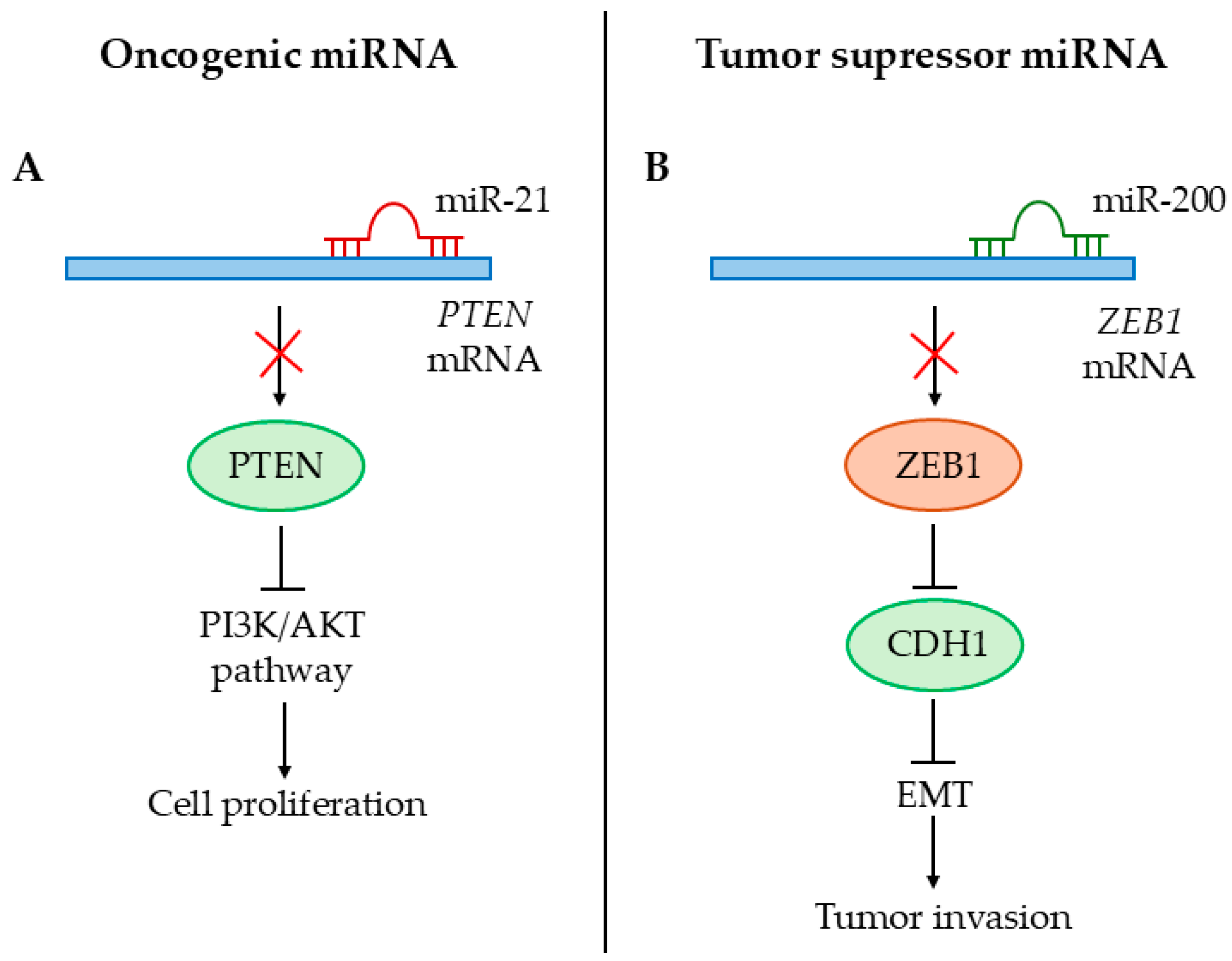 Cancers 17 00579 g004 Cancers 17 00579 g004