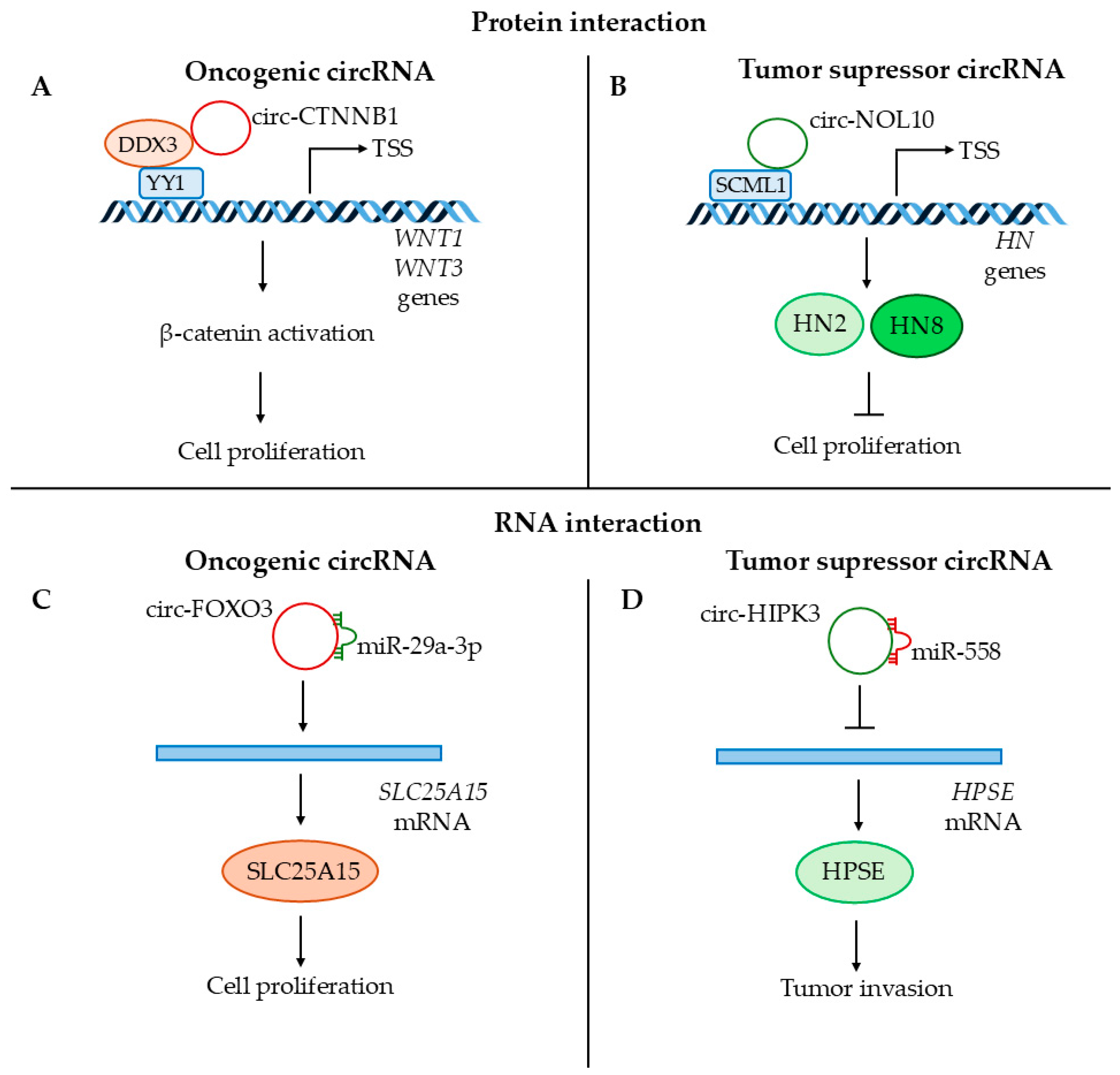 Cancers 17 00579 g006 Cancers 17 00579 g006