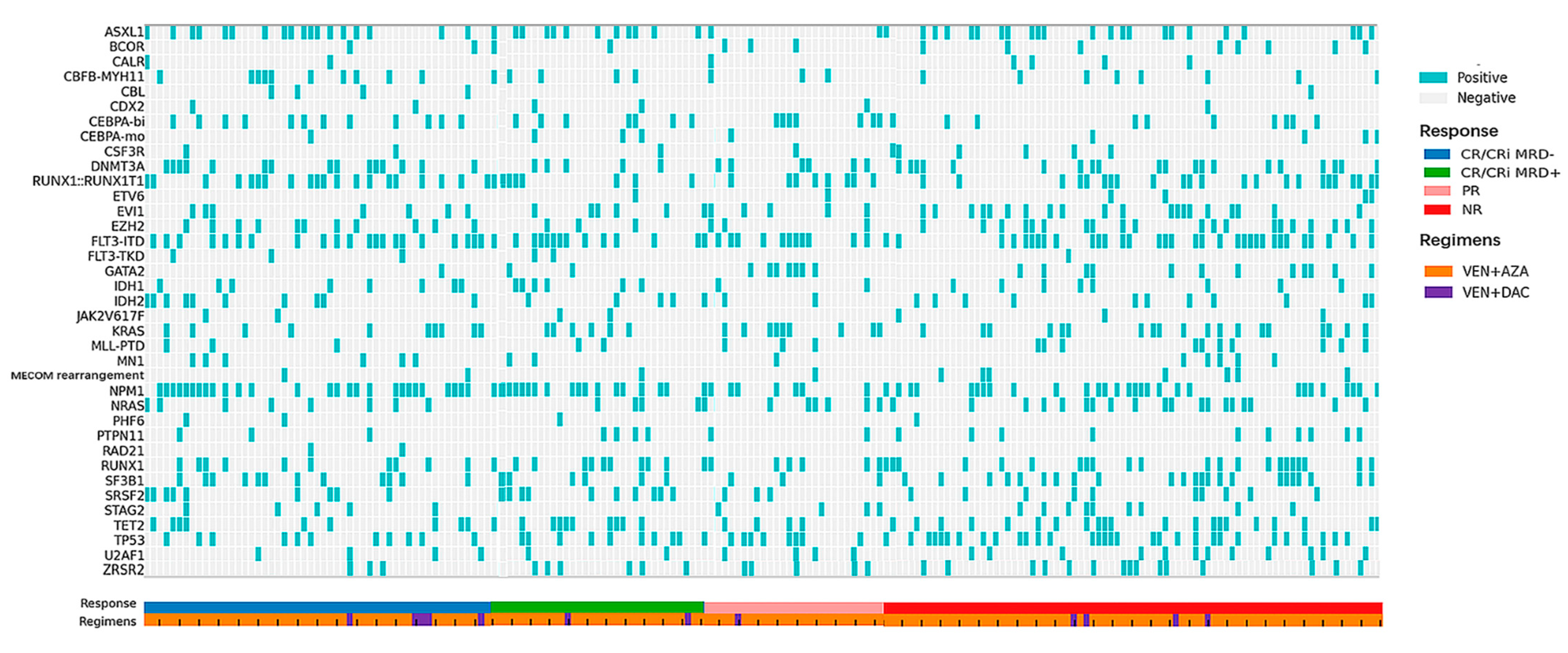Cancers 17 00586 g002