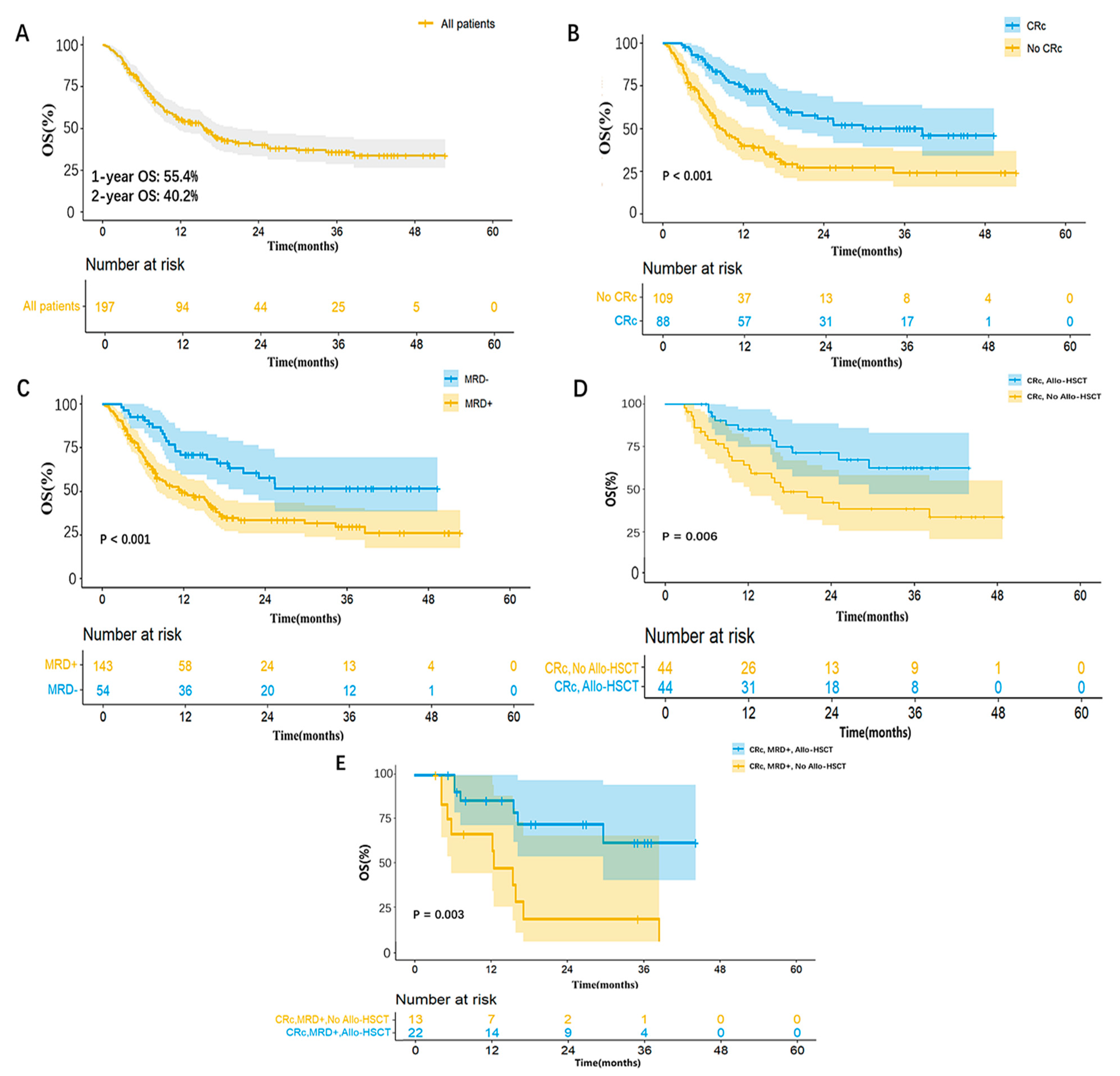 Cancers 17 00586 g003