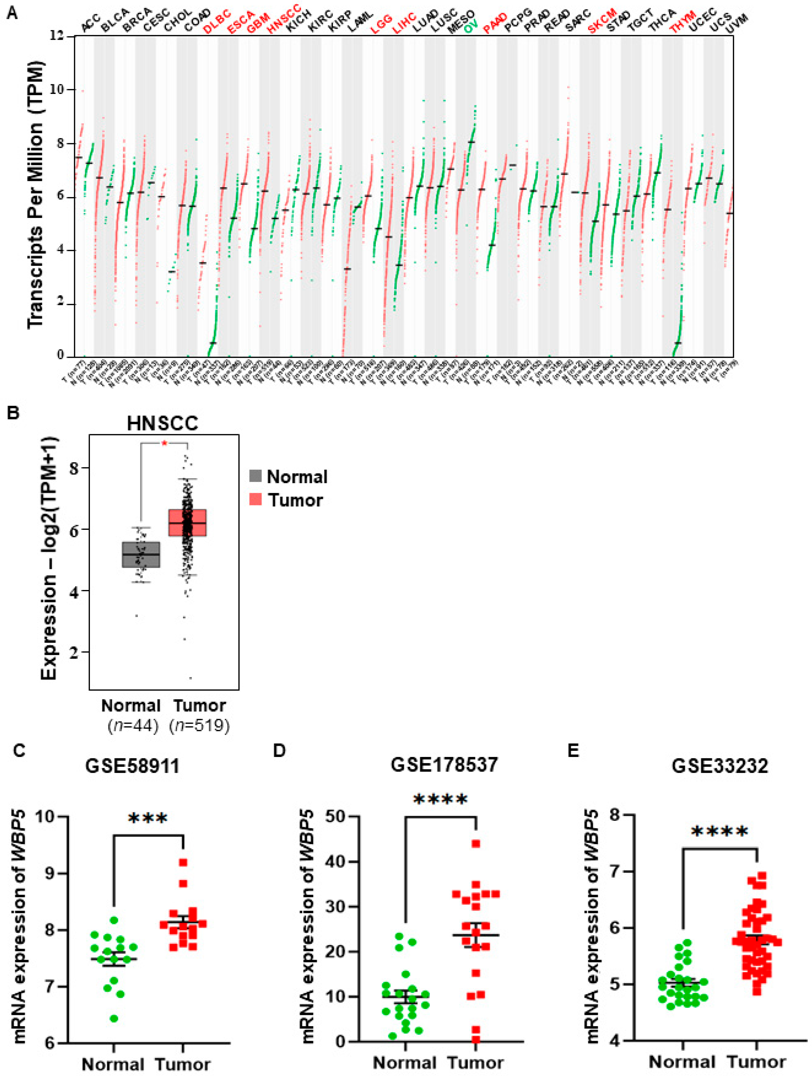 Cancers 17 00587 g001