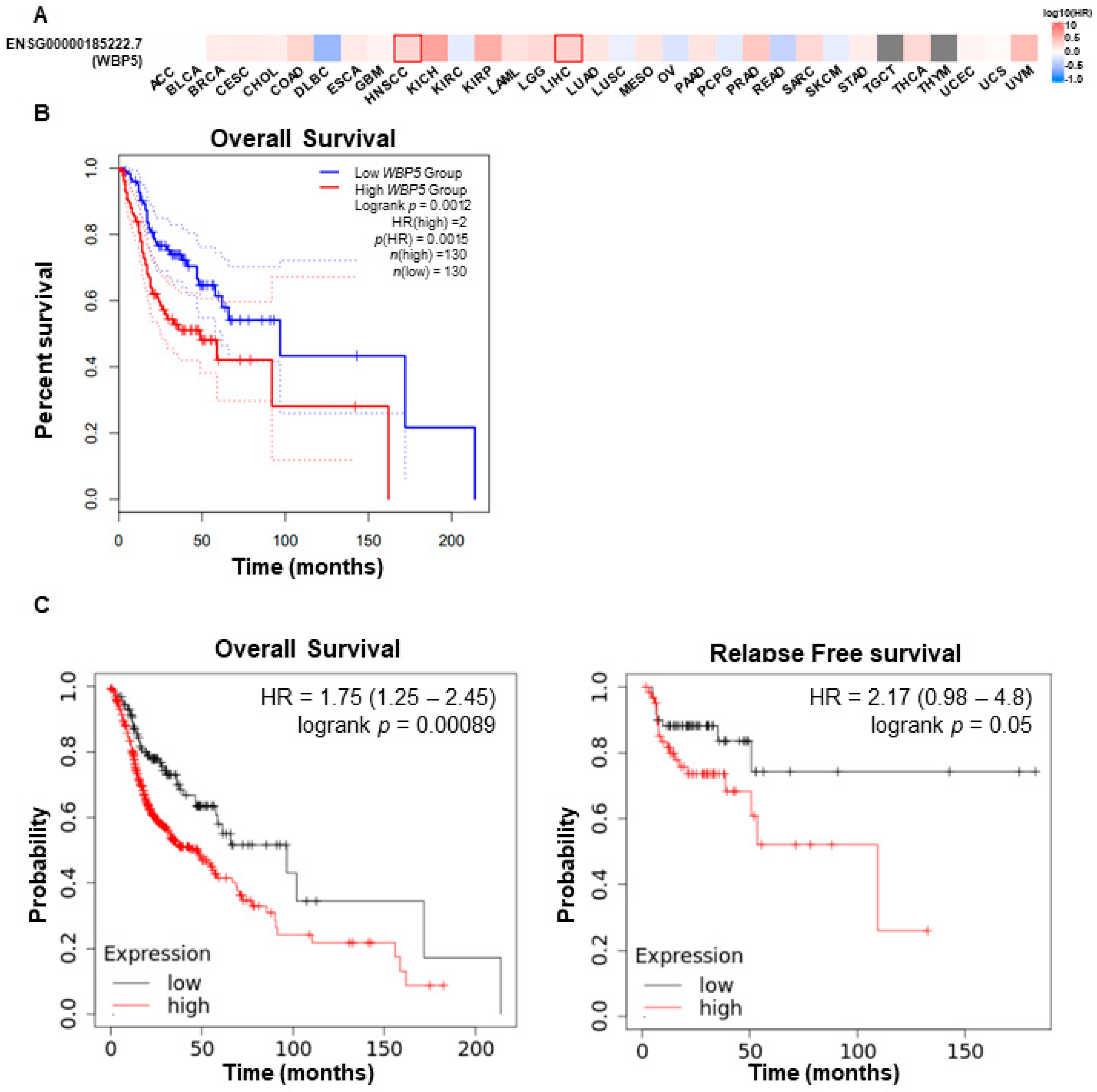 Cancers 17 00587 g002