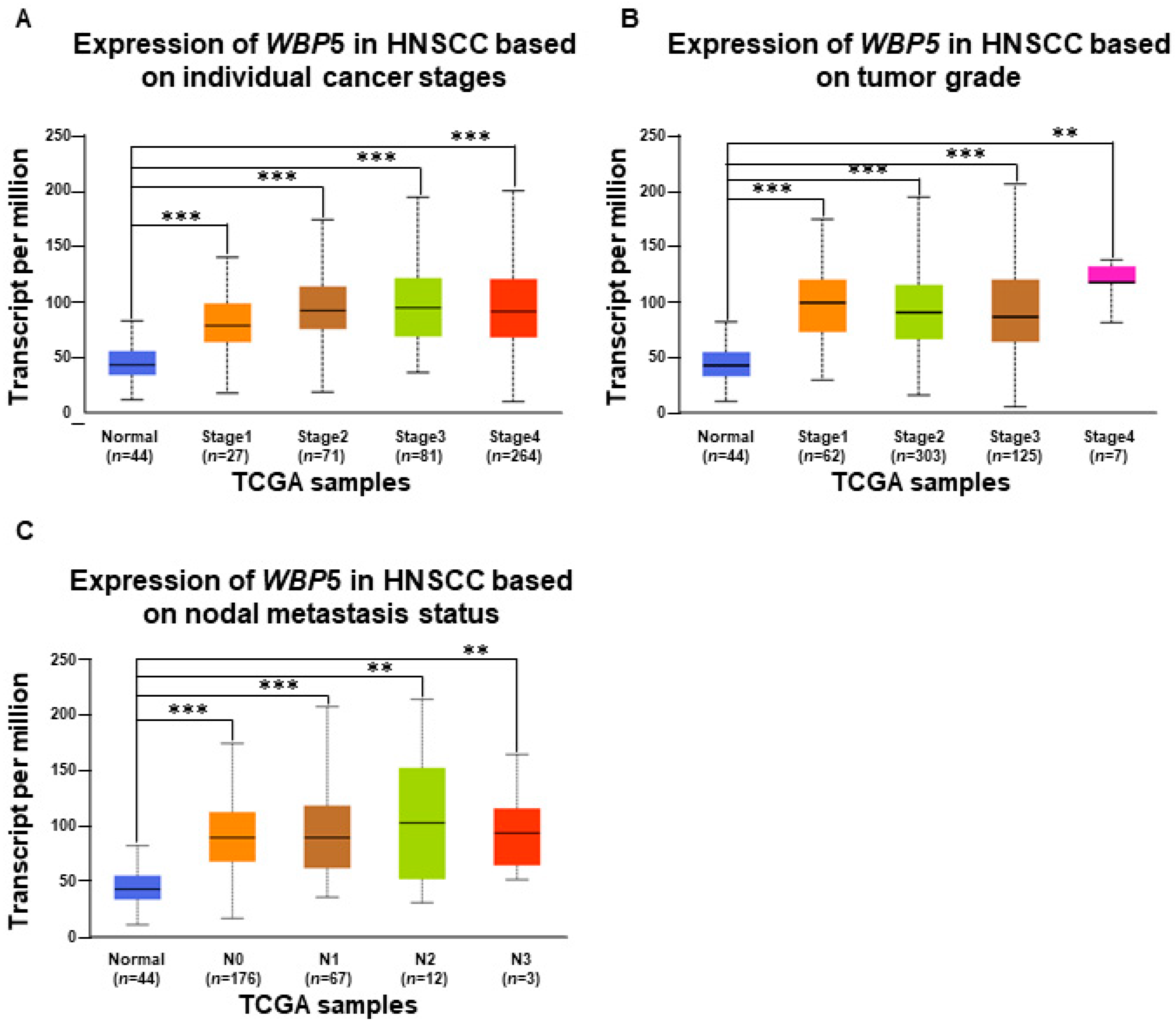 Cancers 17 00587 g005