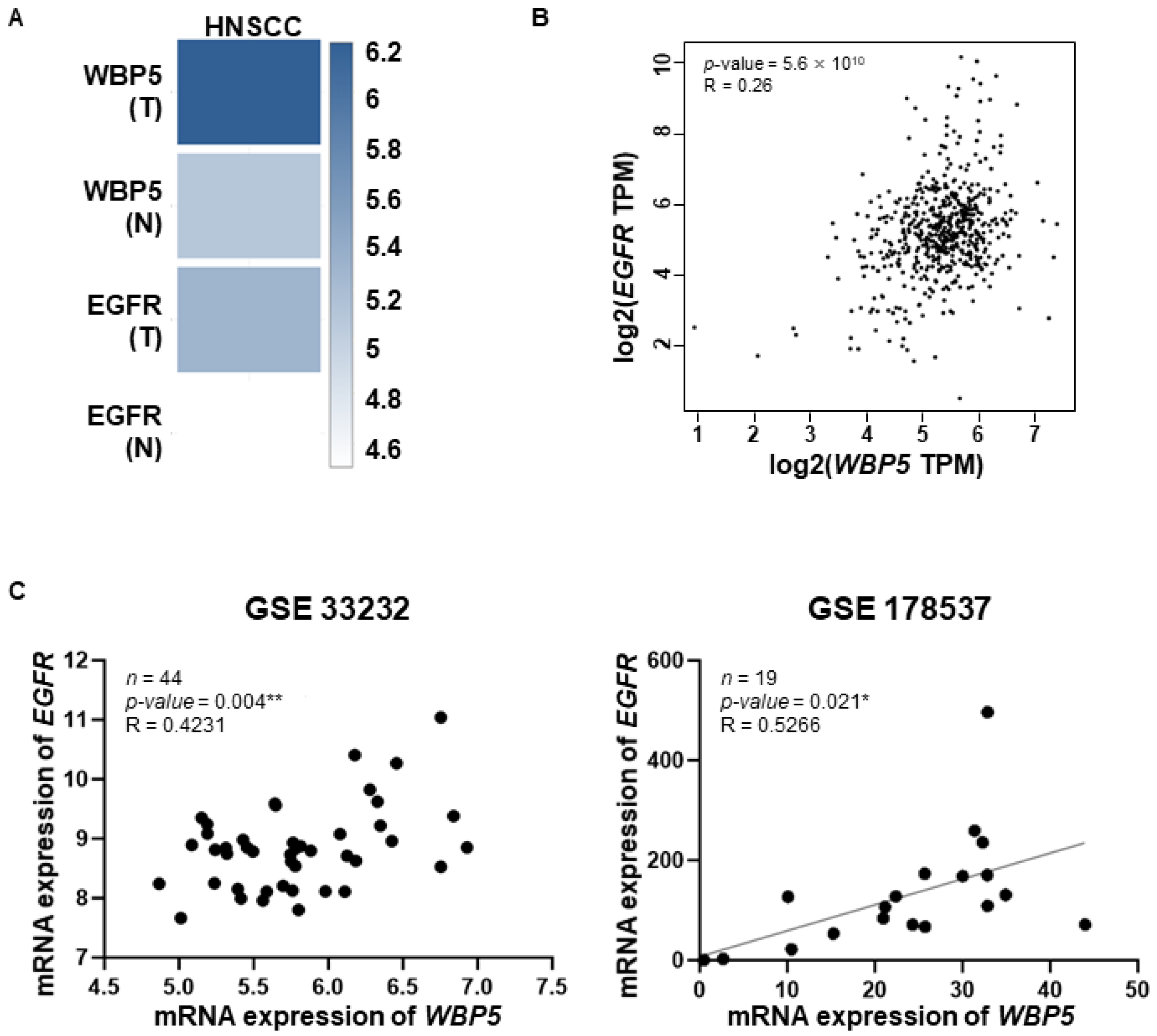 Cancers 17 00587 g006