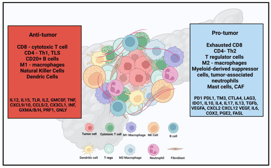 Advancing Immunotherapy in Pancreatic Cancer: A Brief Review