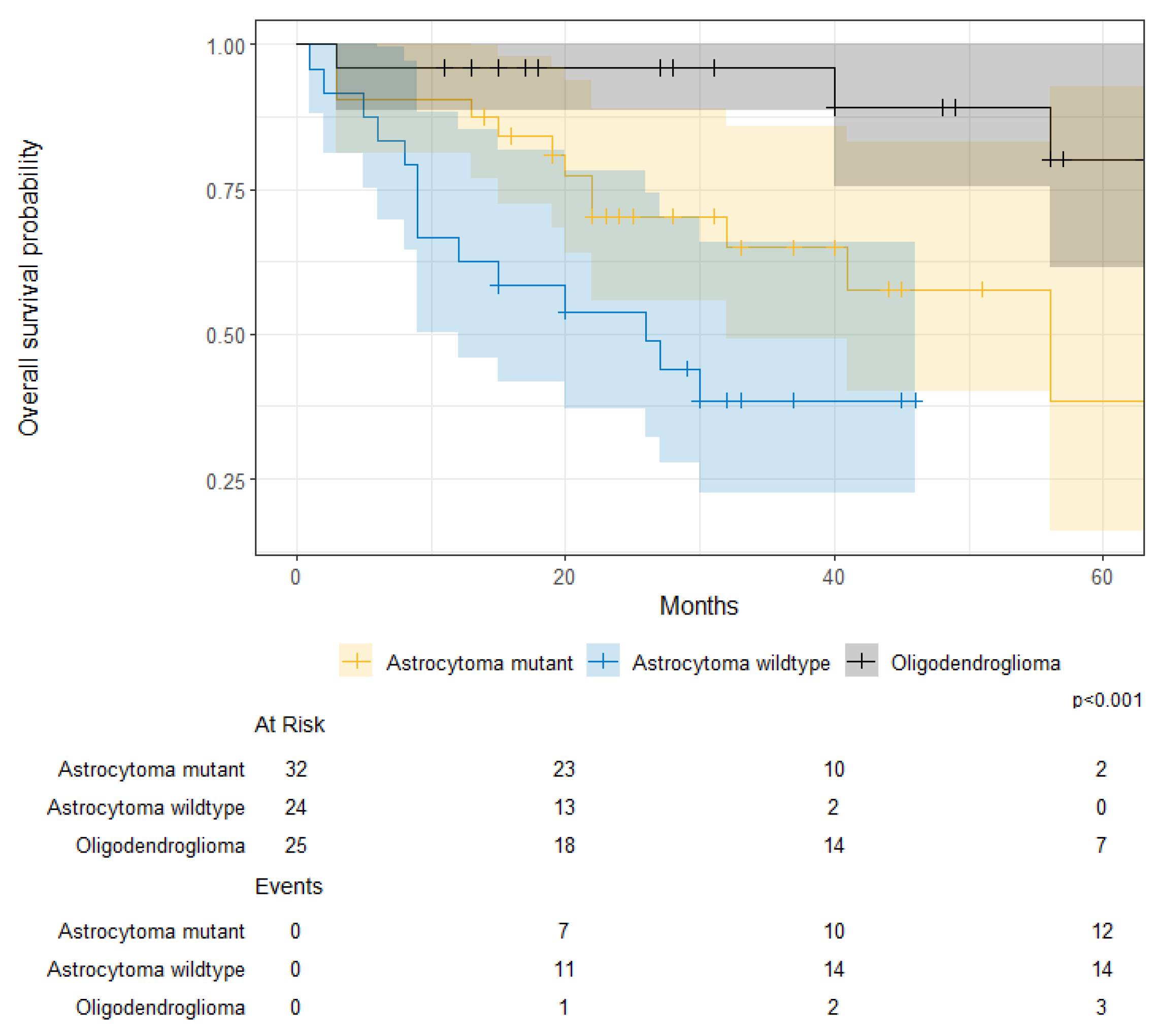 Cancers 17 00590 g011