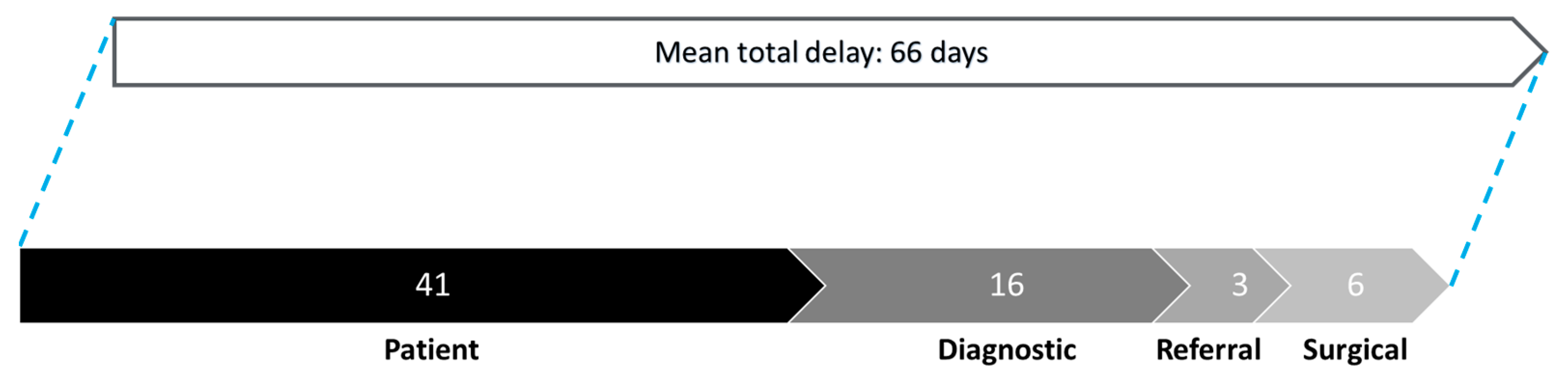 Cancers 17 00595 g001