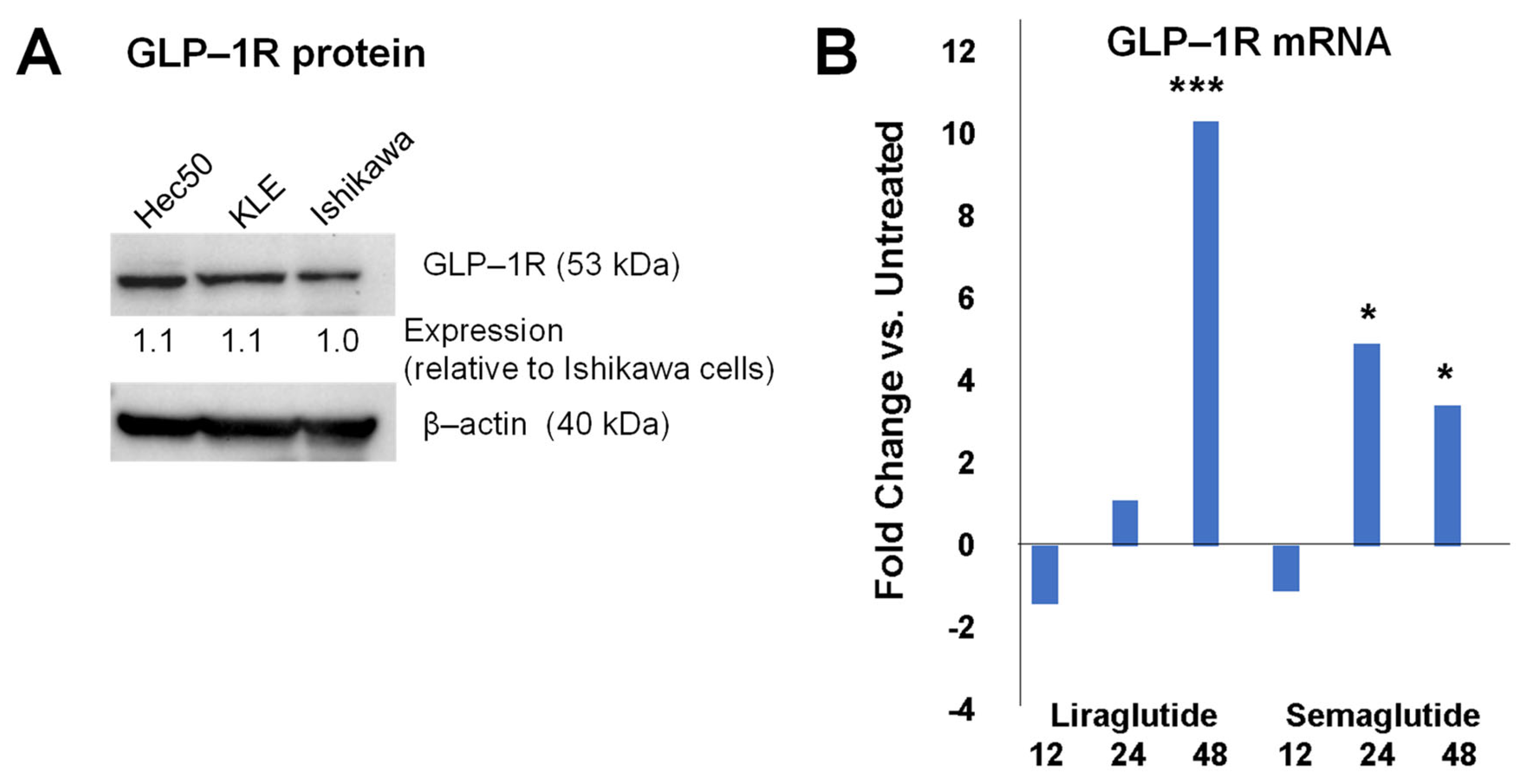 Cancers 17 00598 g001