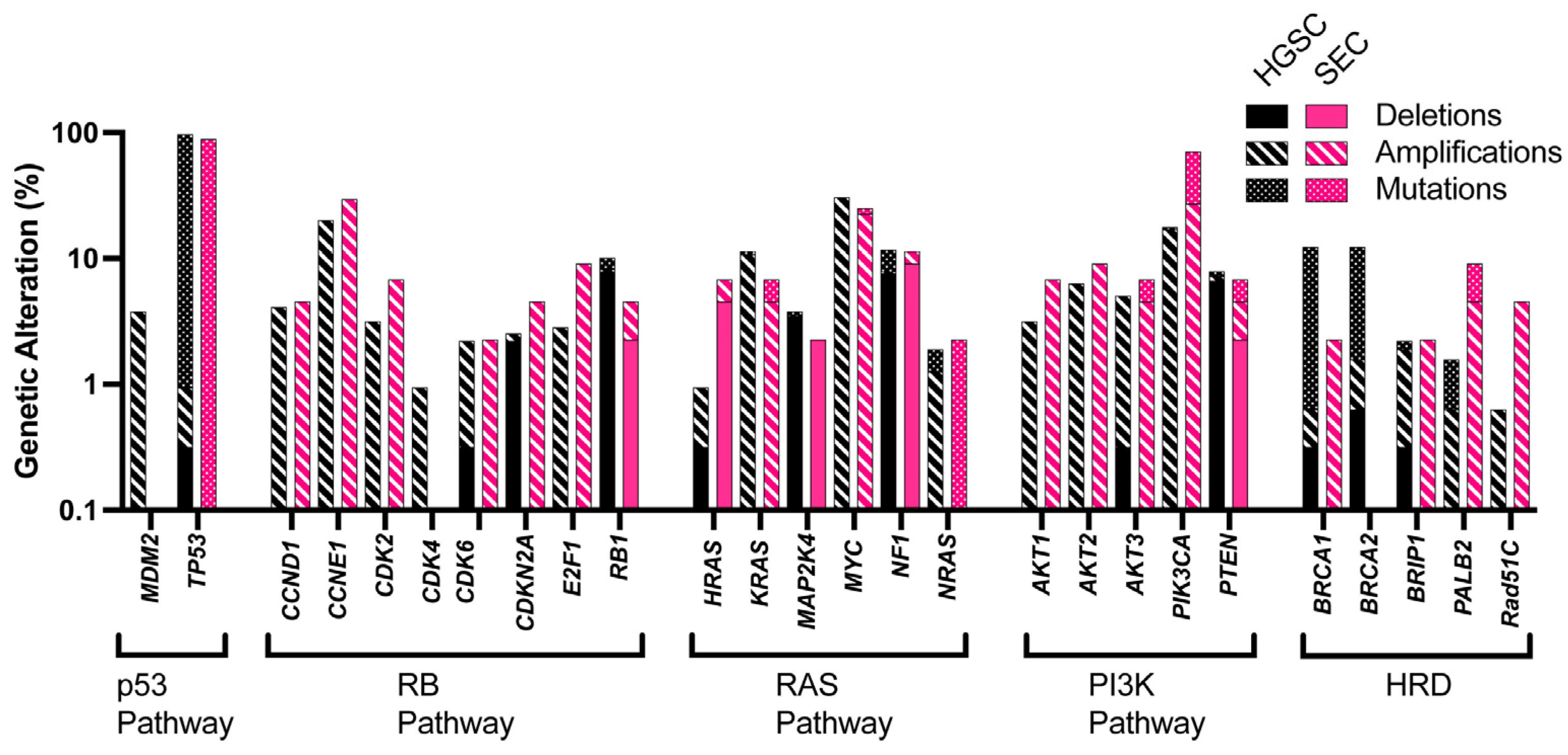 Cancers 17 00604 g003