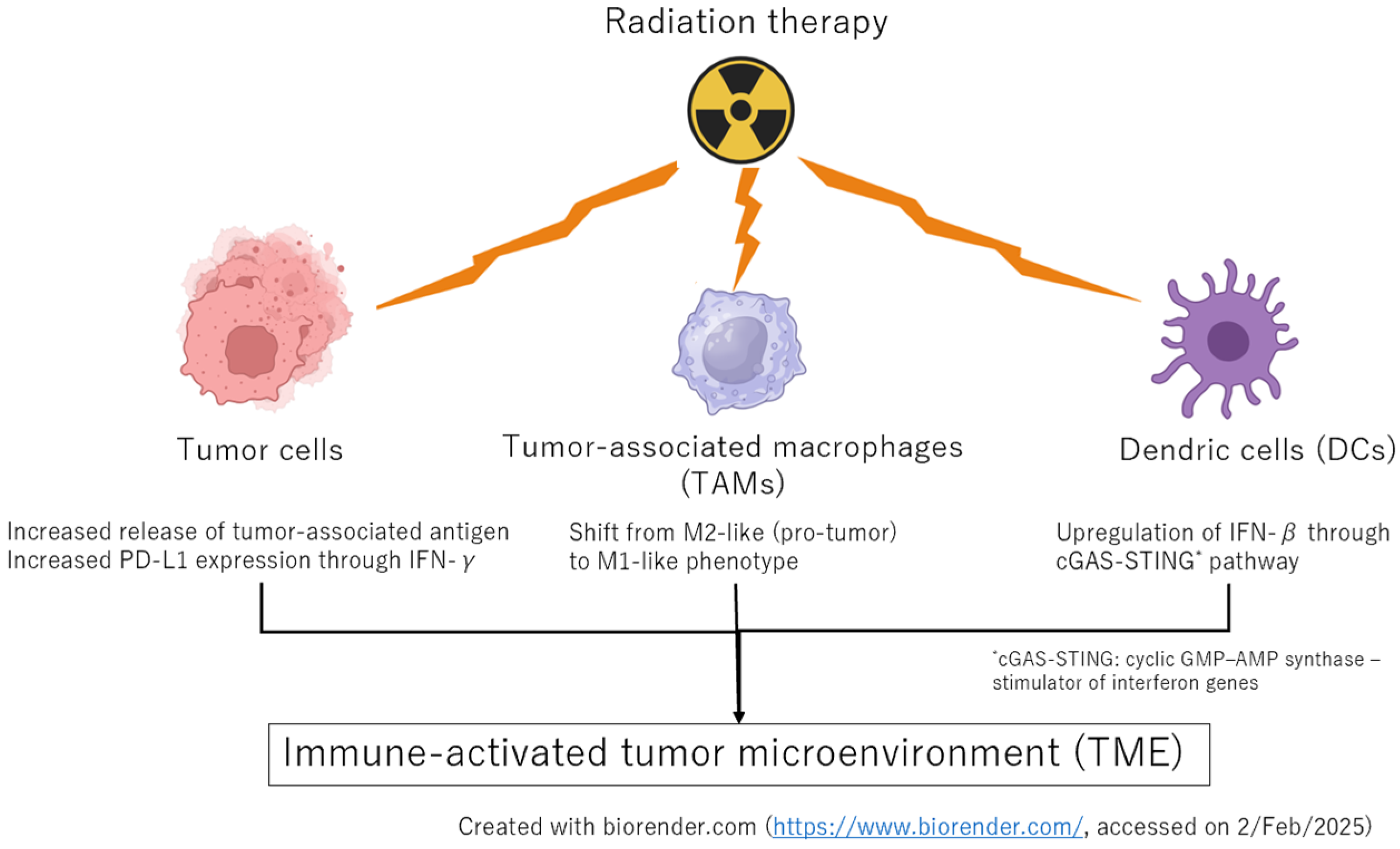 Cancers 17 00606 g001