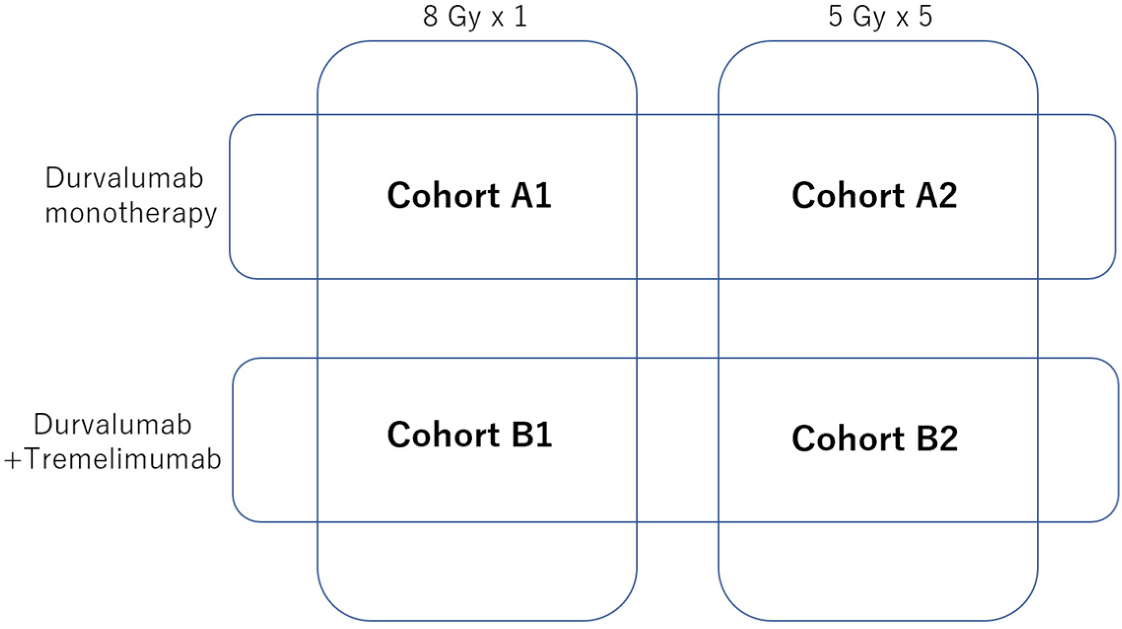Cancers 17 00606 g002