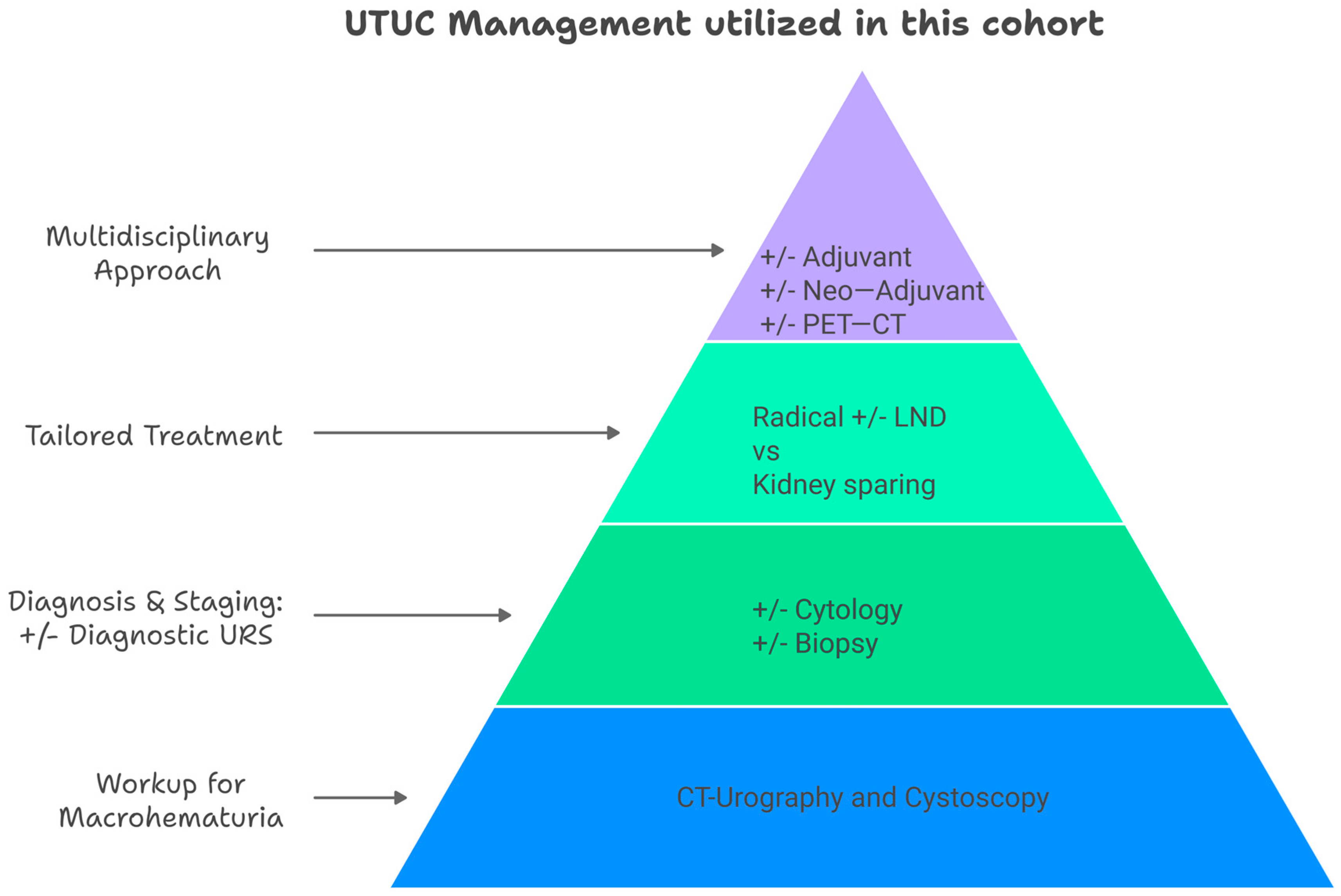 Cancers 17 00627 sch001
