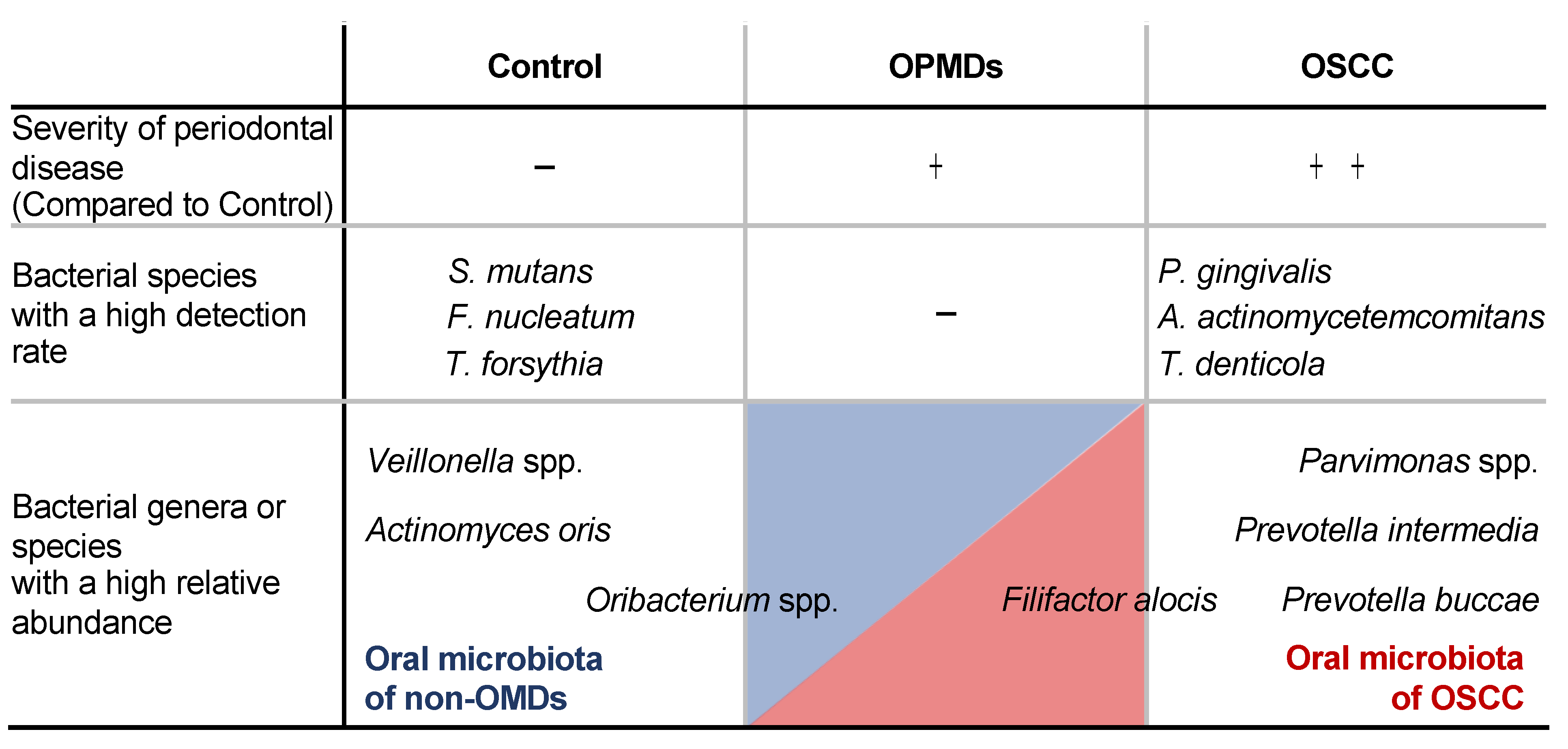Cancers 17 00632 g004
