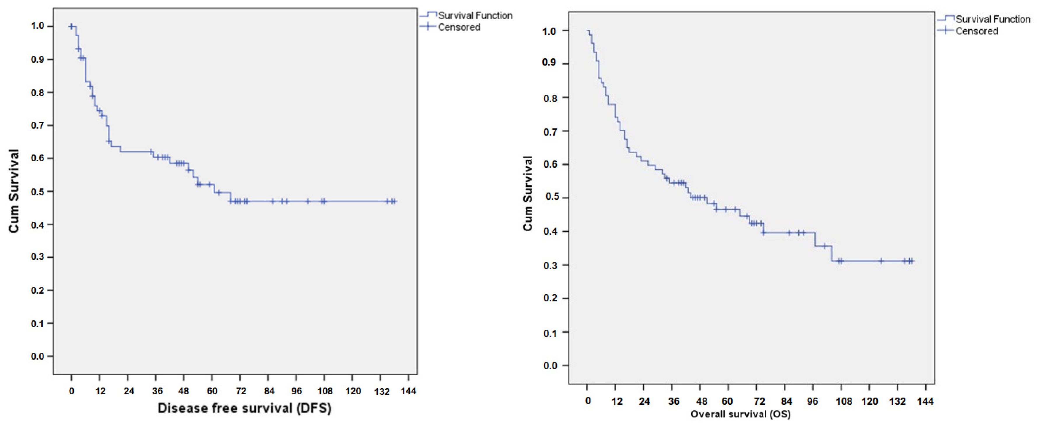 Cancers 17 00635 g001