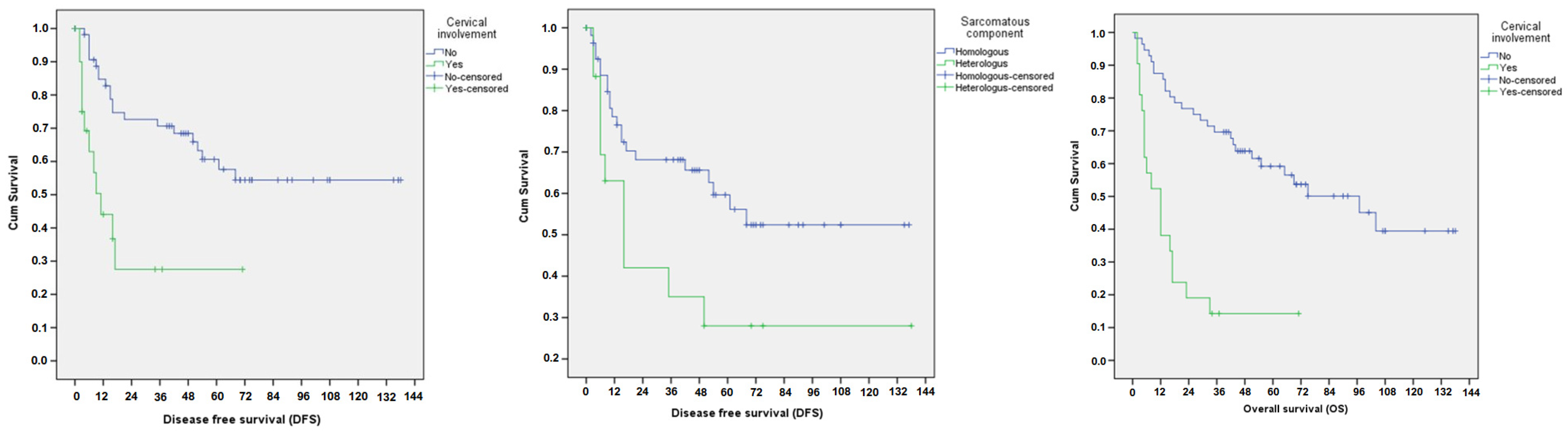 Cancers 17 00635 g002