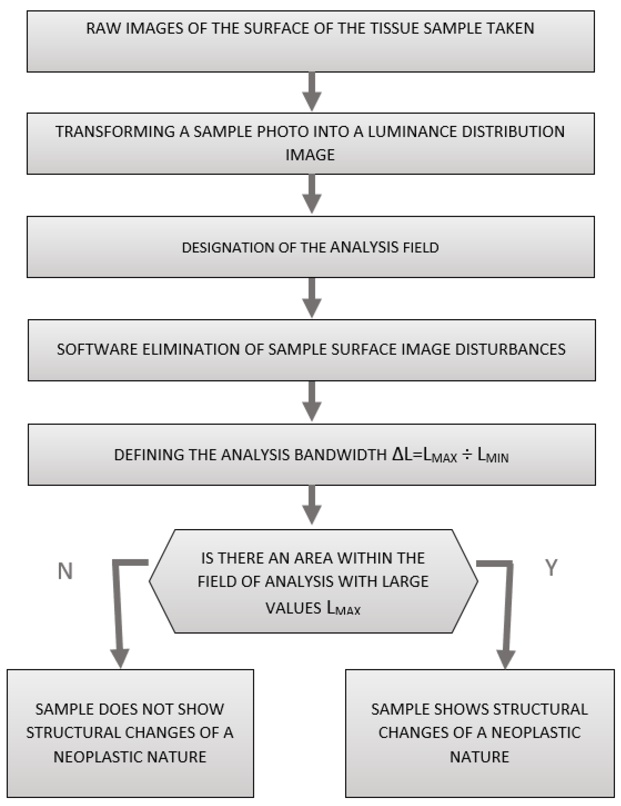 Cancers 17 00639 g004