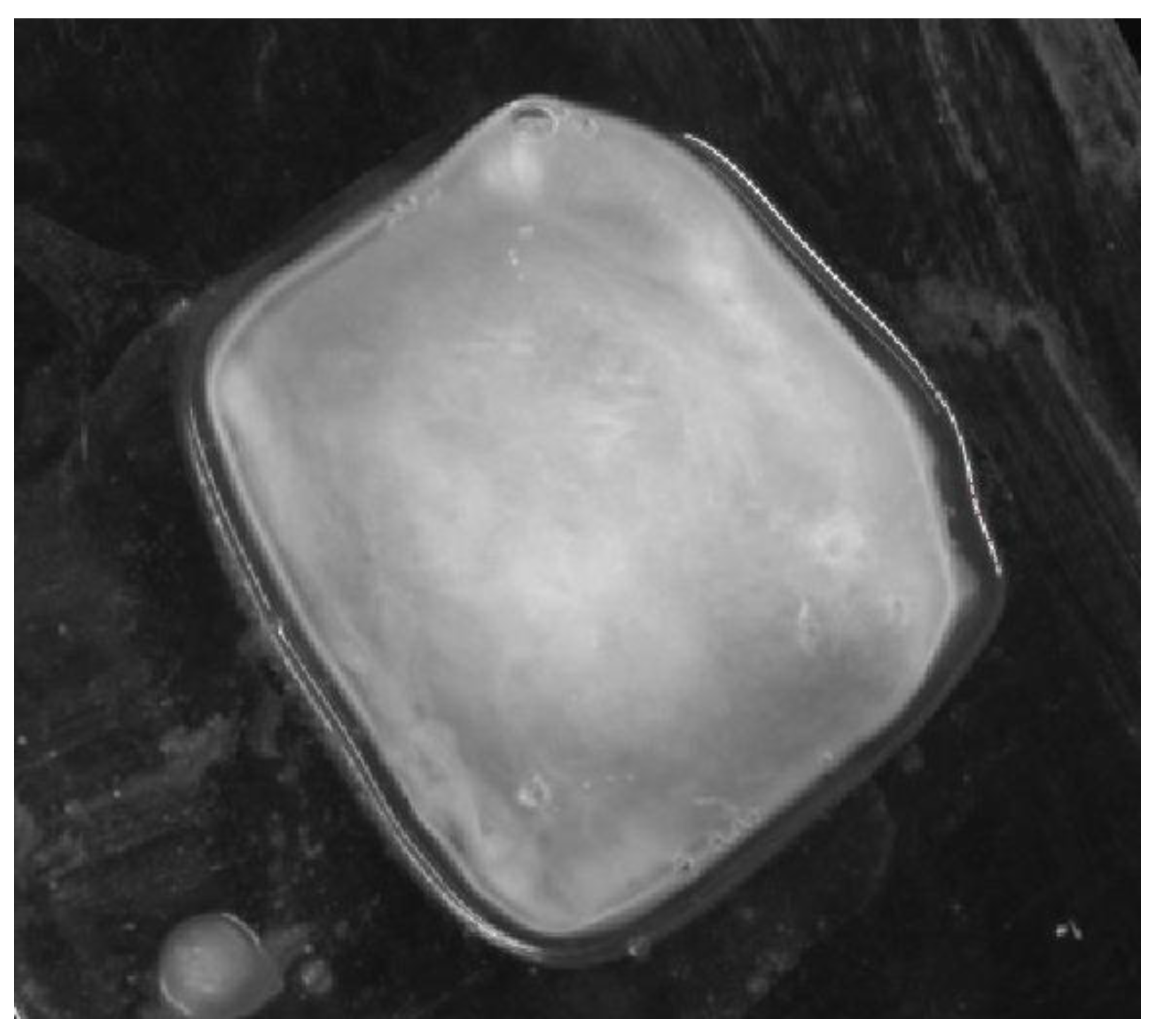 Cancers 17 00639 g005