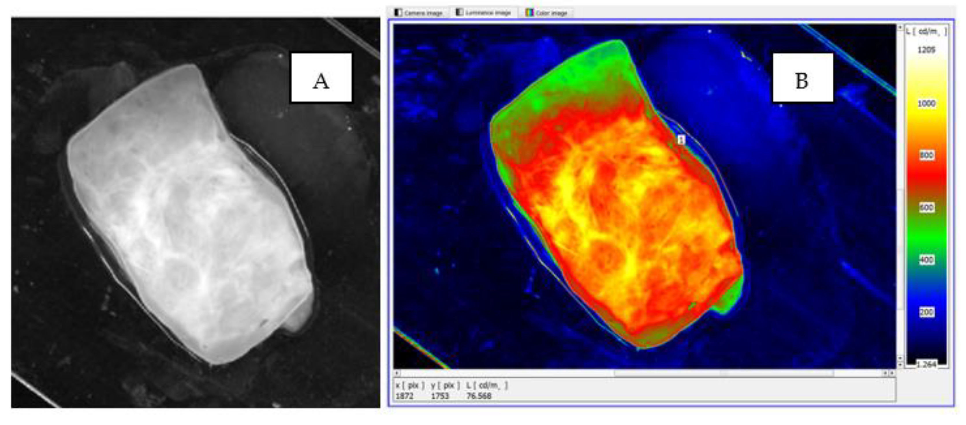 Cancers 17 00639 g010