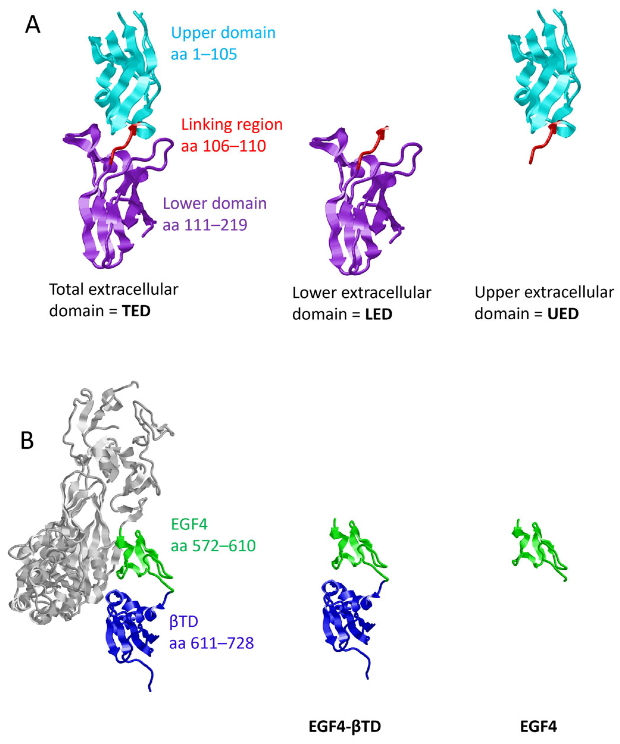 Cancers 17 00644 g001