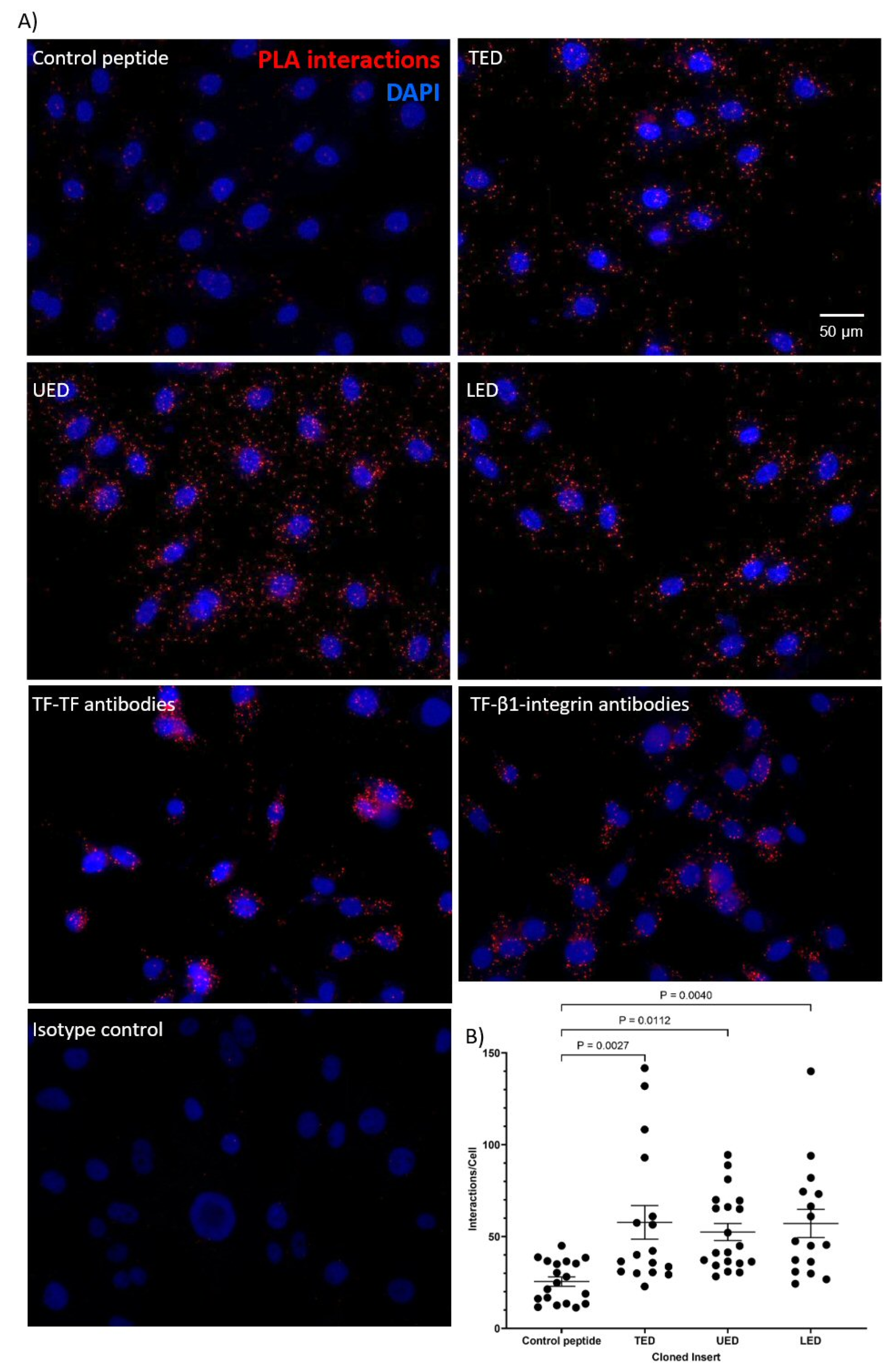 Cancers 17 00644 g002