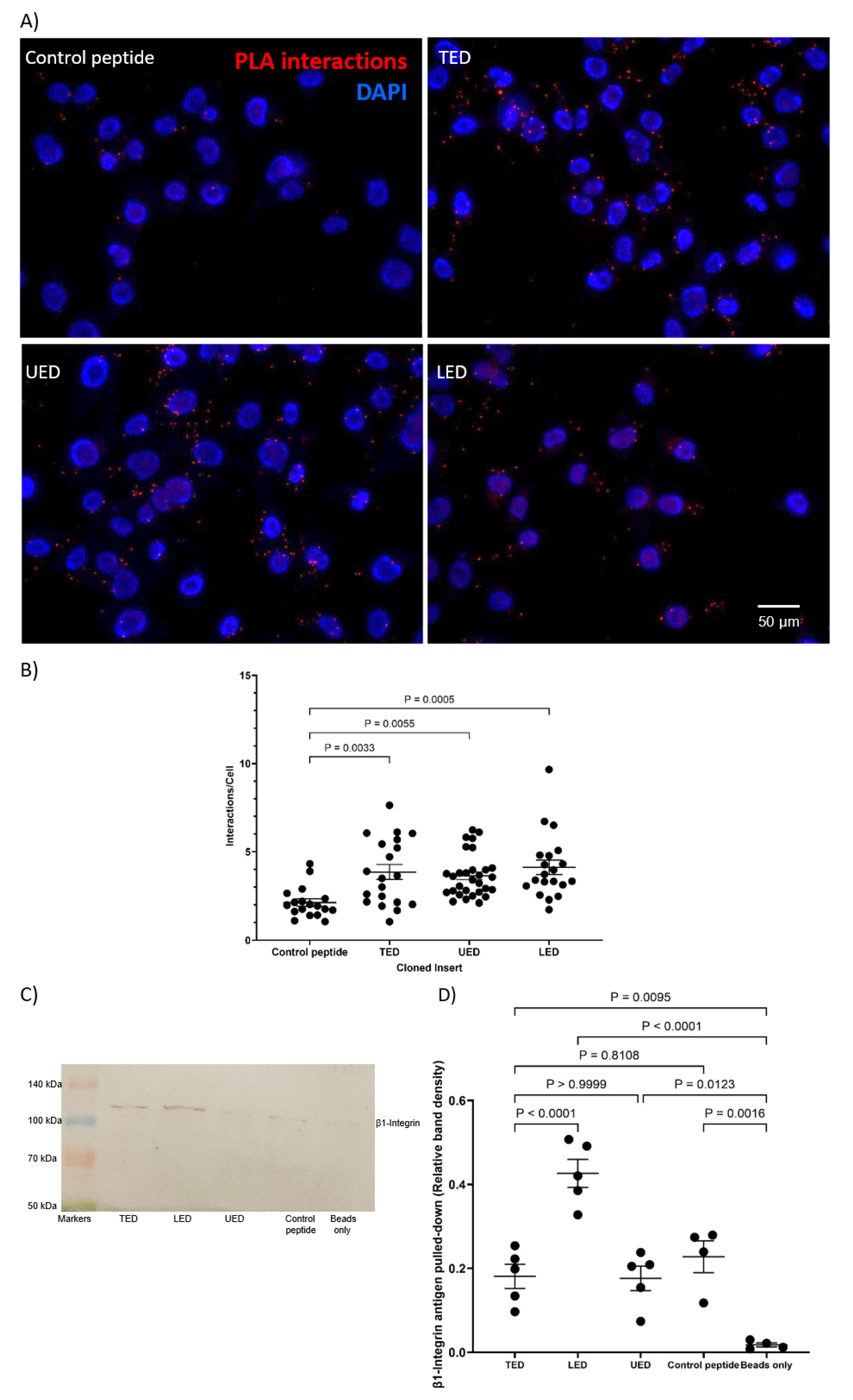 Cancers 17 00644 g003