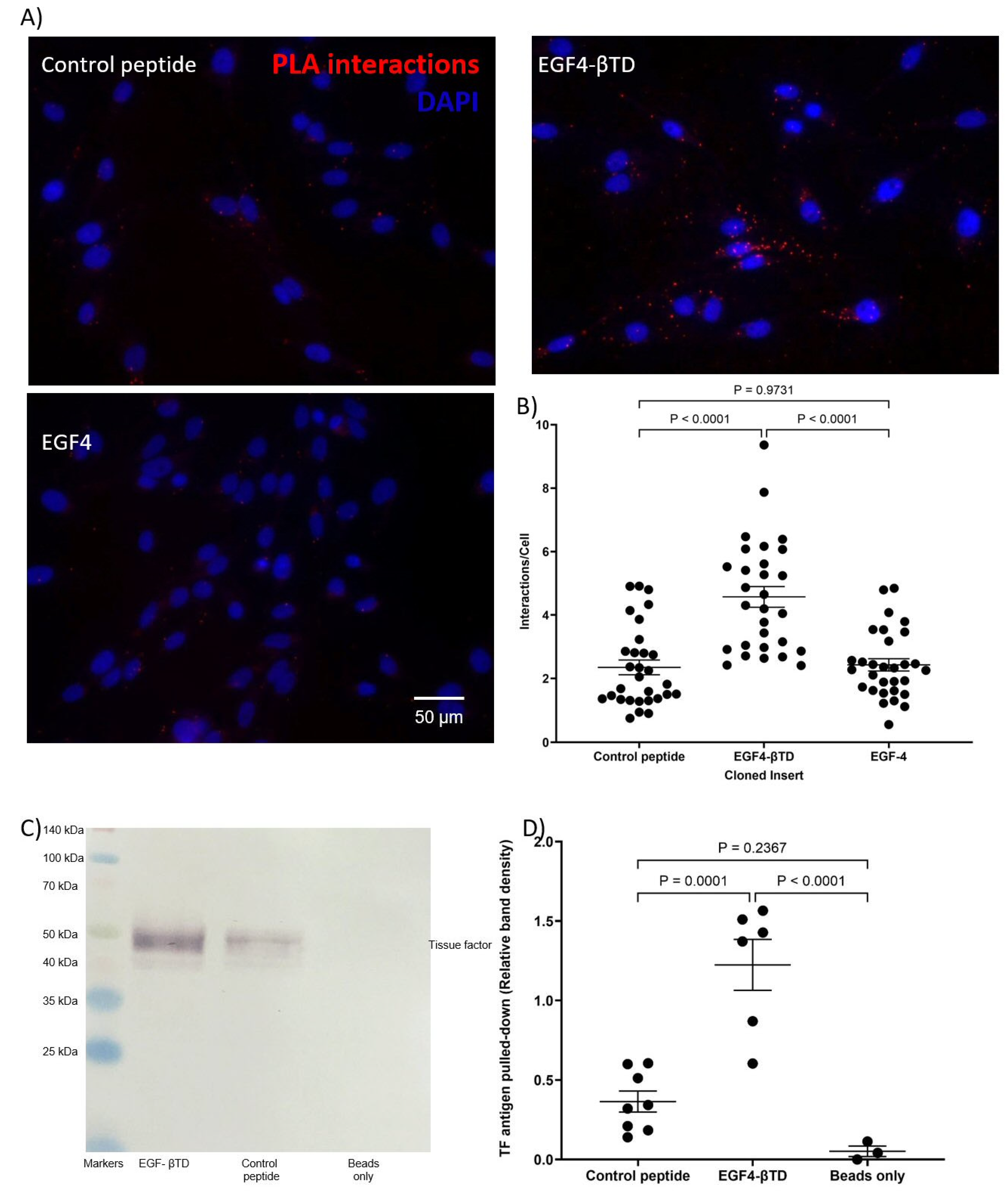 Cancers 17 00644 g004