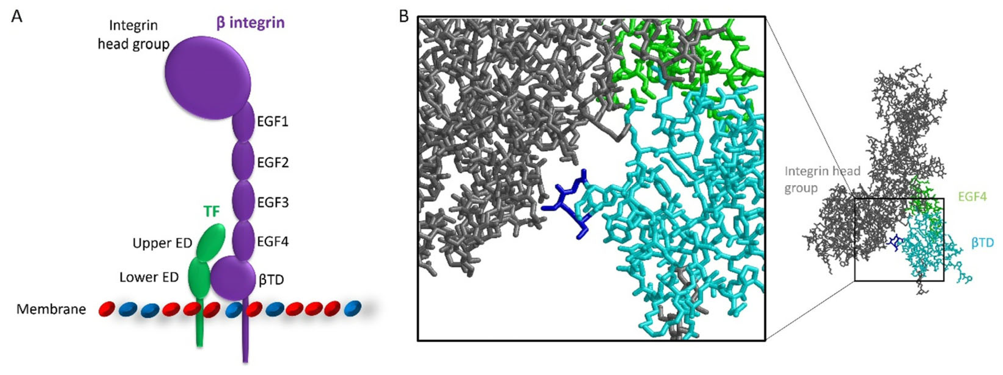 Cancers 17 00644 g010