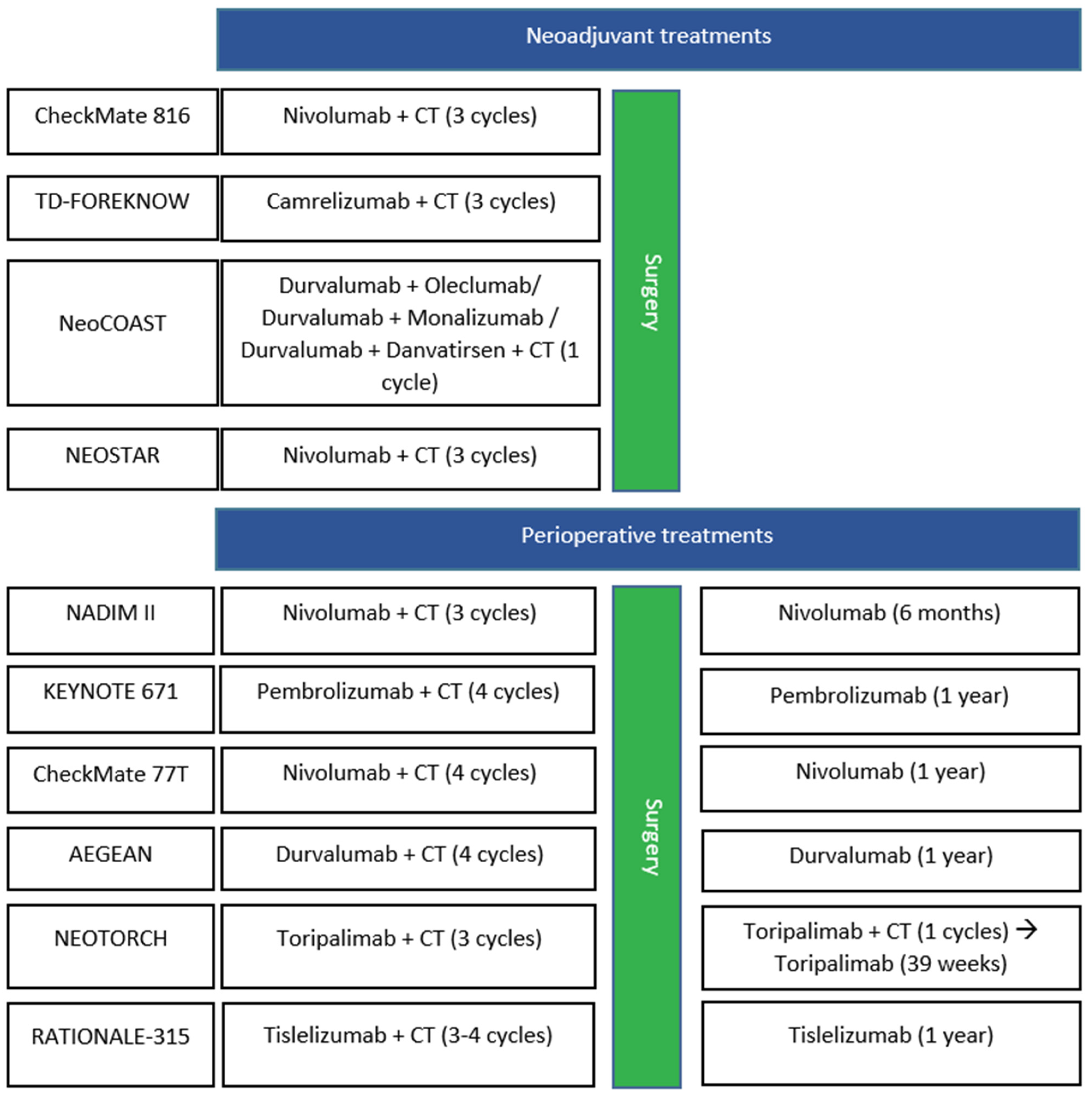 Cancers 17 00652 g002