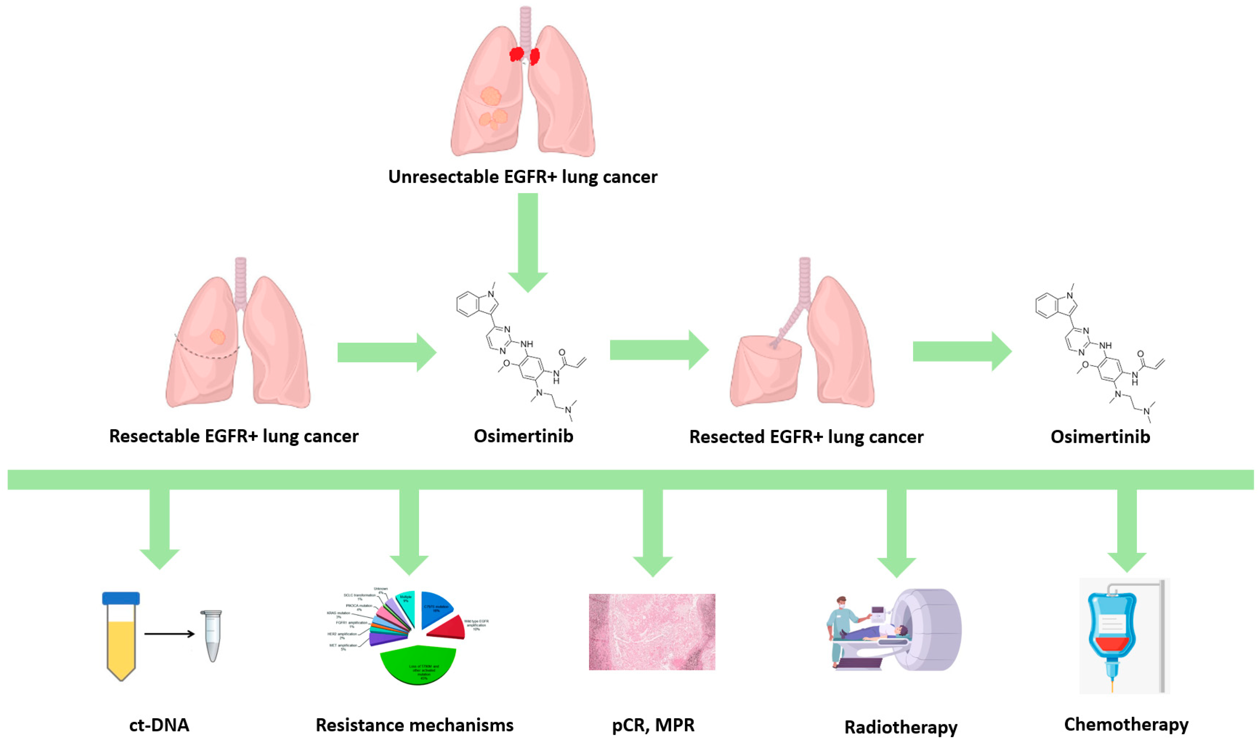 Cancers 17 00668 g001