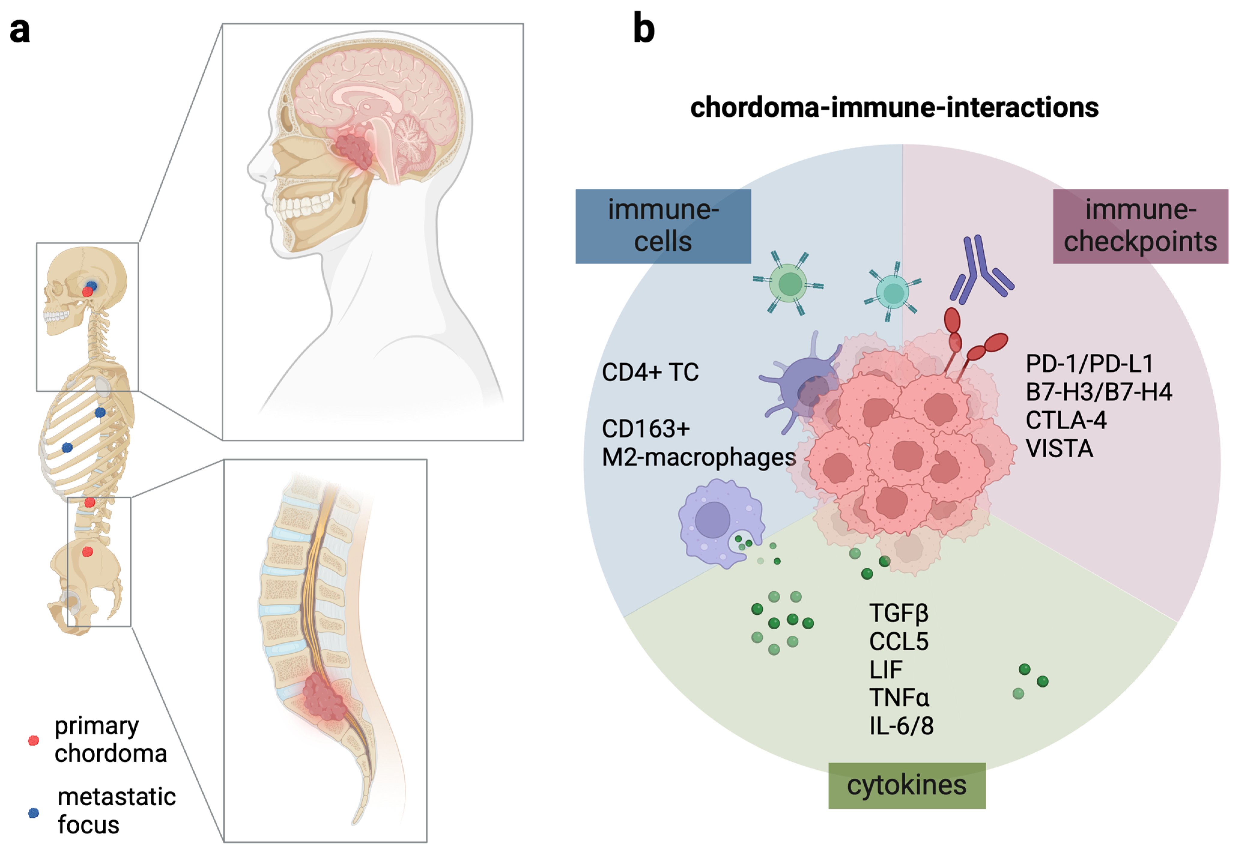 Cancers 17 00681 g001