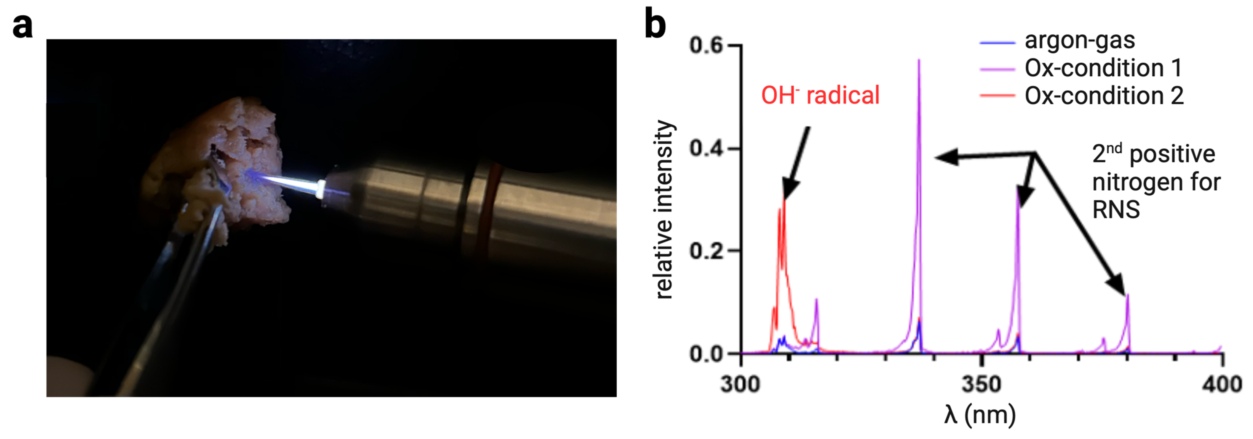 Cancers 17 00681 g002