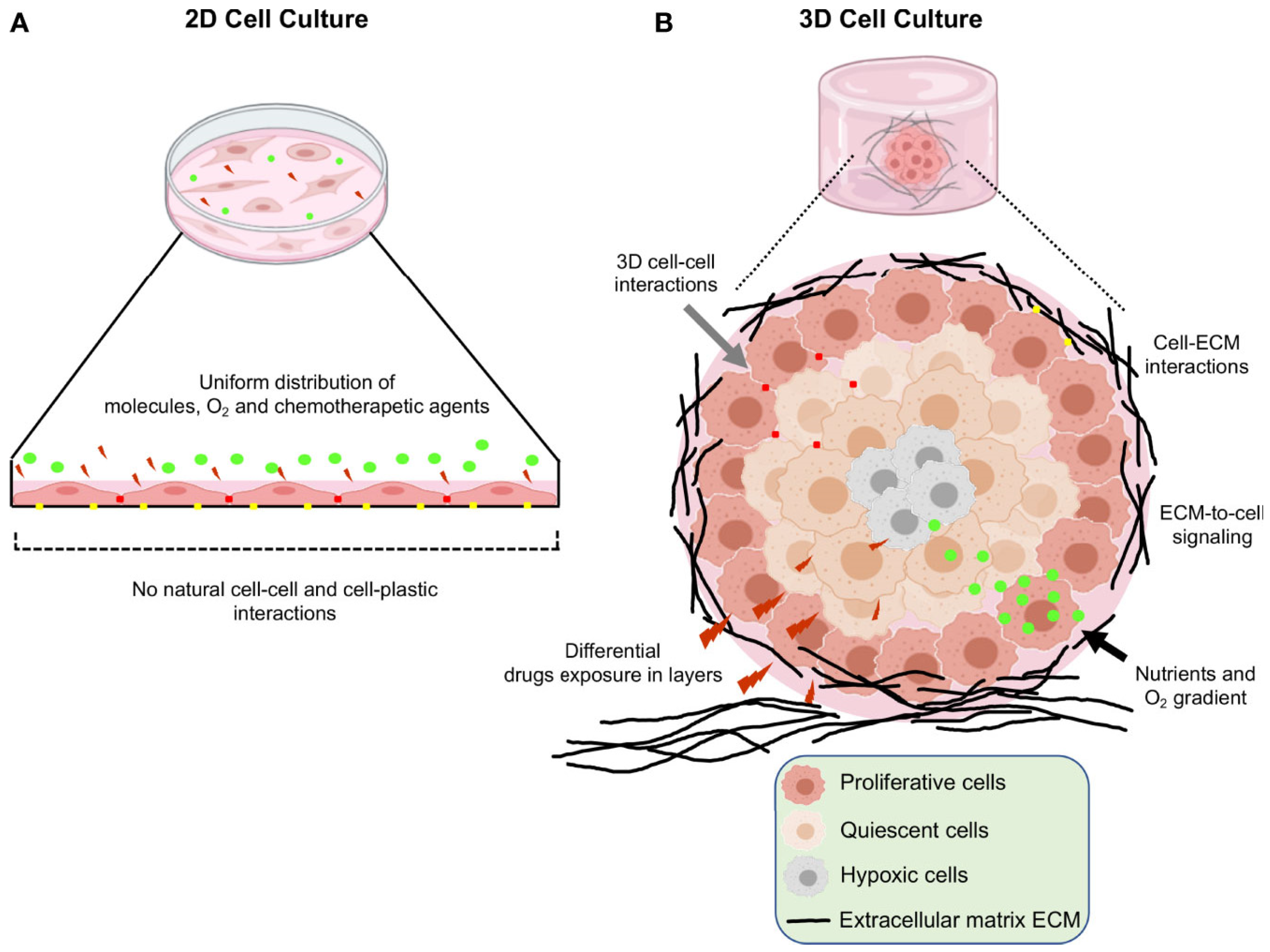 Cancers 17 00700 g001