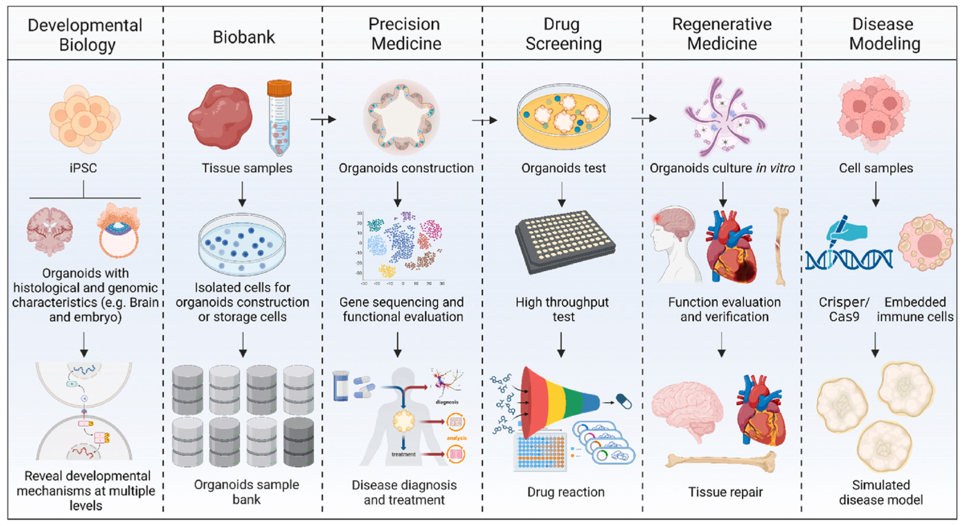 Cancers 17 00700 g005