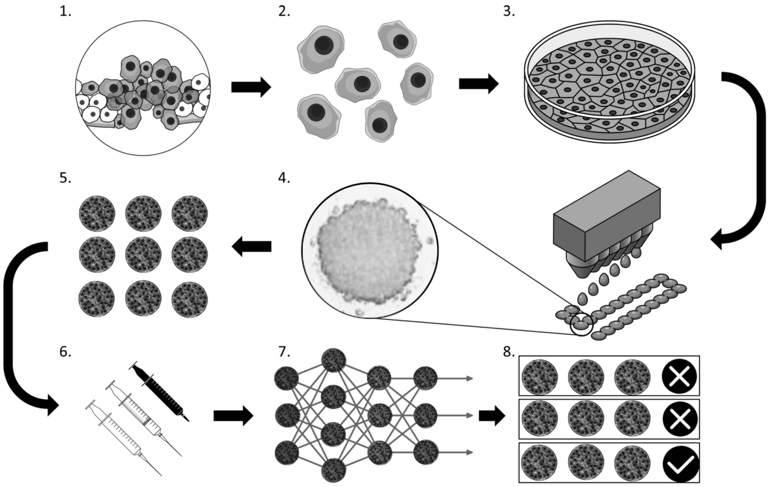 Cancers 17 00700 g008