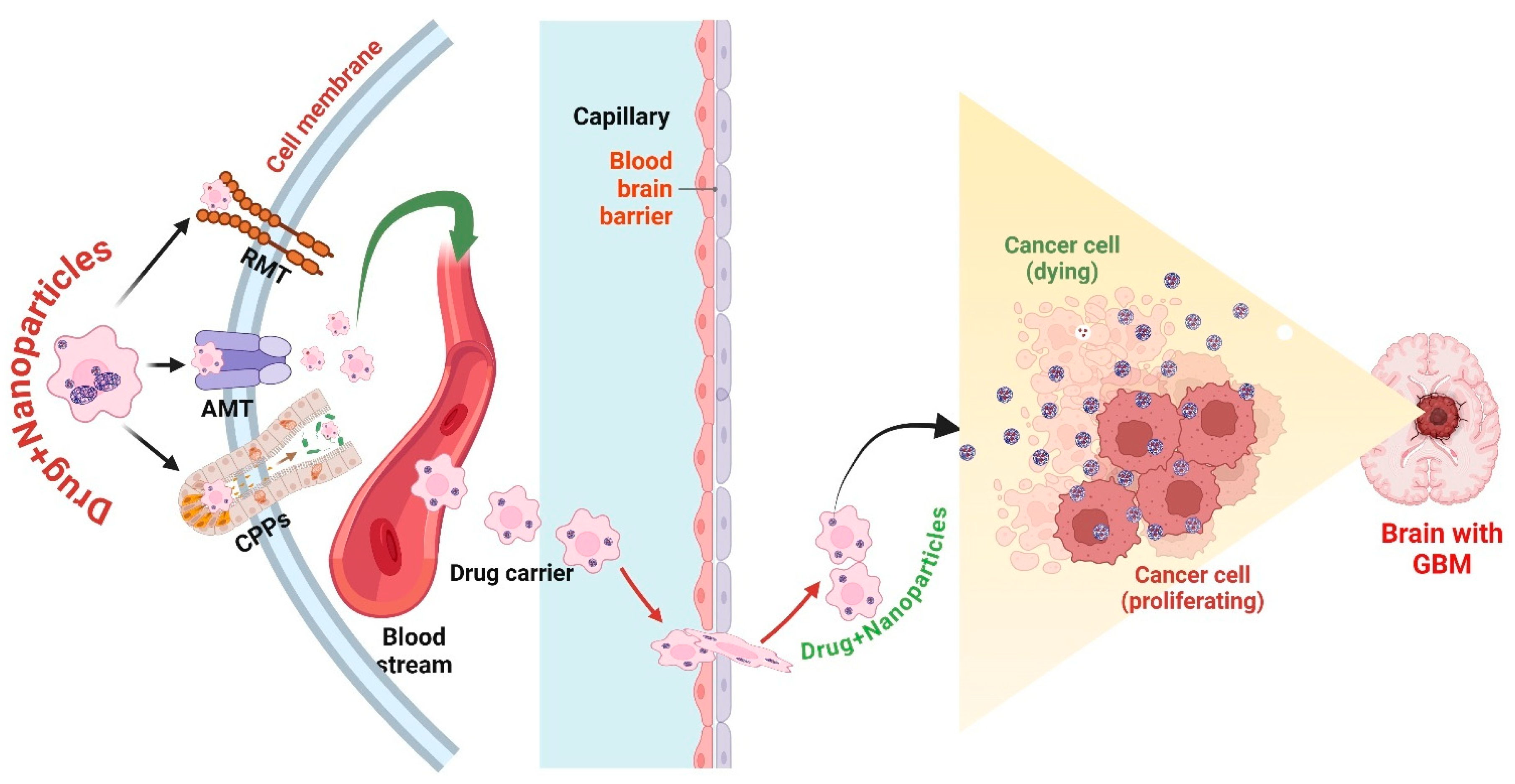 Cancers 17 00701 g003
