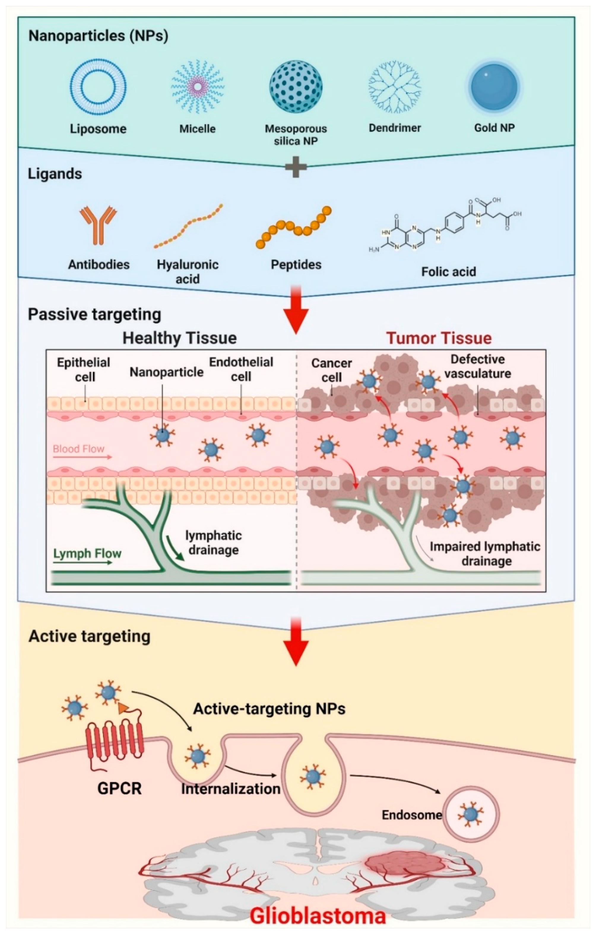 Cancers 17 00701 g004