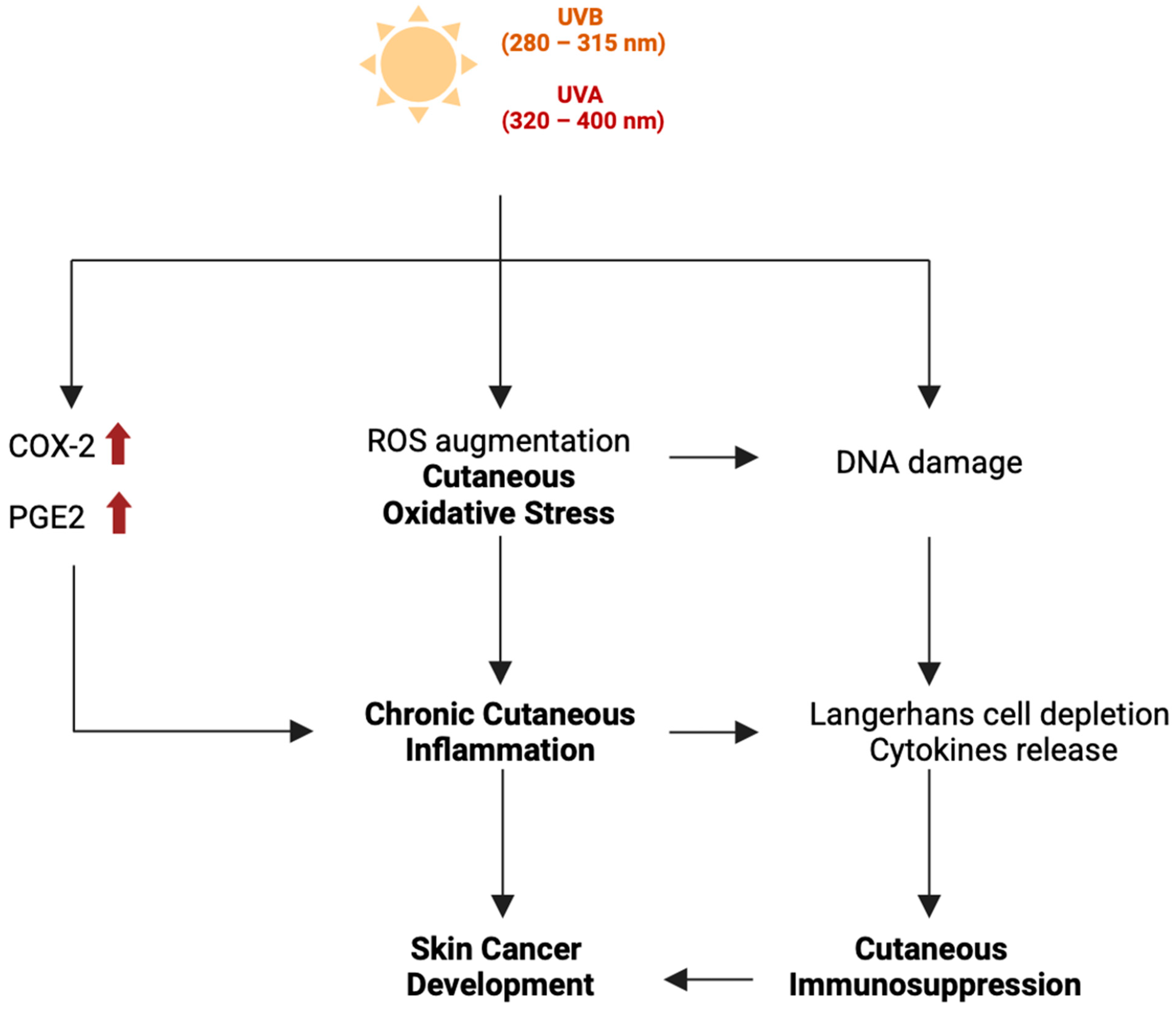Cancers 17 00703 g002