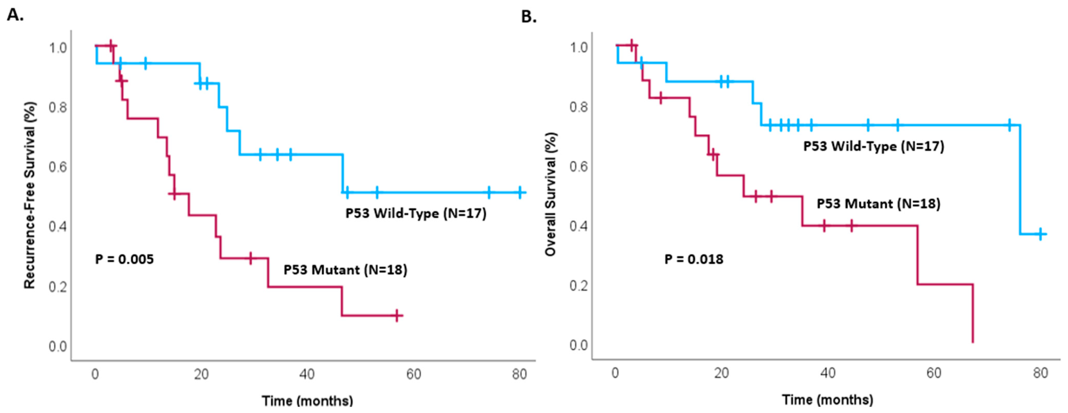 Cancers 17 00705 g003